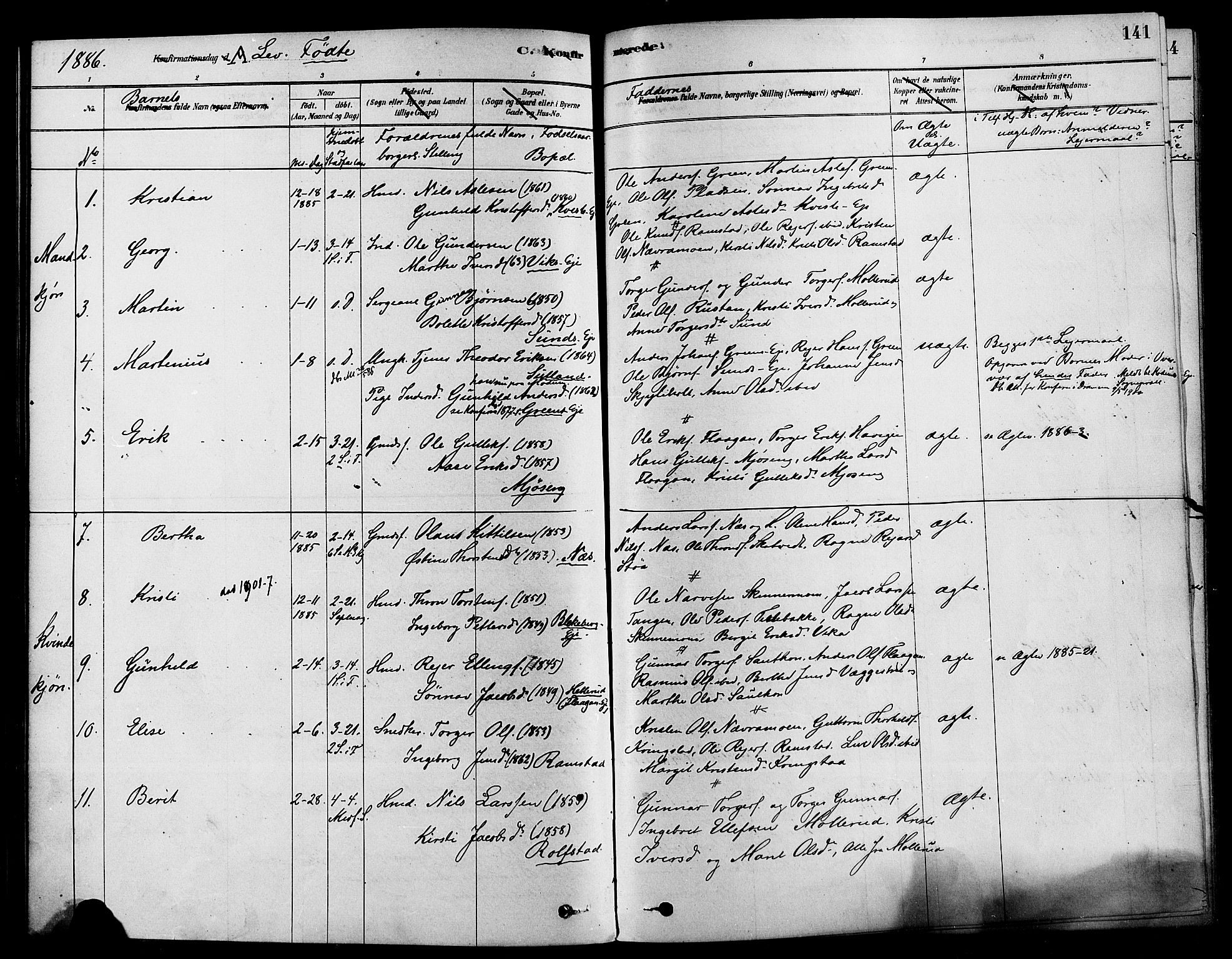 Sigdal kirkebøker, AV/SAKO-A-245/F/Fa/L0011: Parish register (official) no. I 11, 1879-1887, p. 141