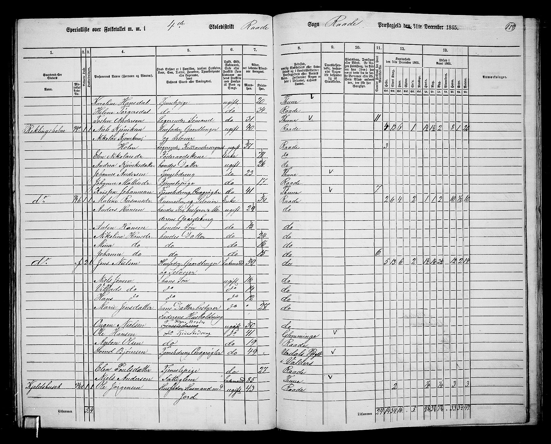 RA, 1865 census for Råde, 1865, p. 106
