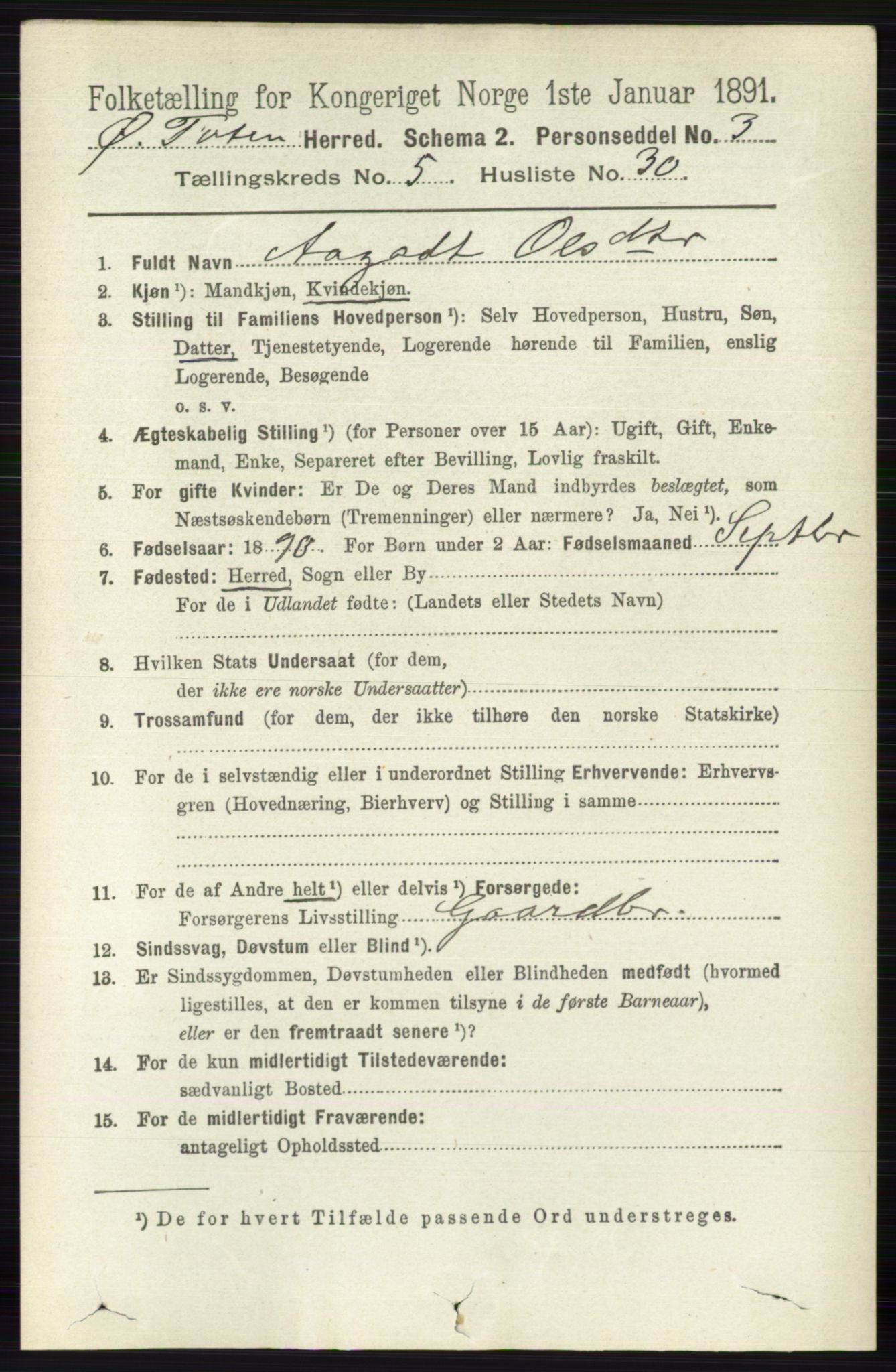 RA, 1891 census for 0528 Østre Toten, 1891, p. 3339