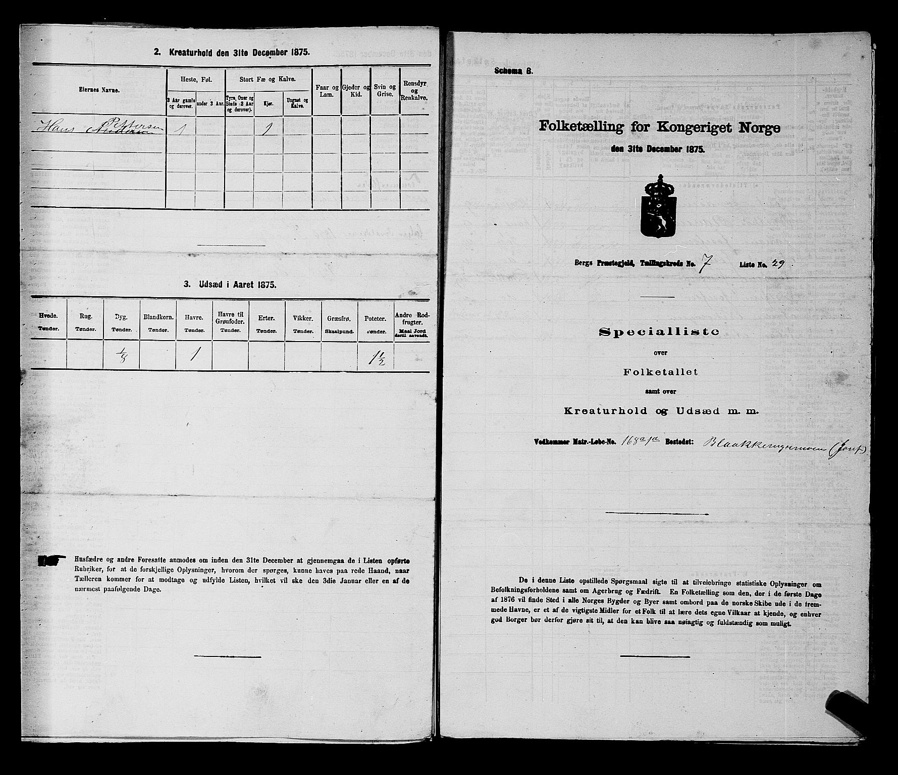 RA, 1875 census for 0116P Berg, 1875, p. 1125