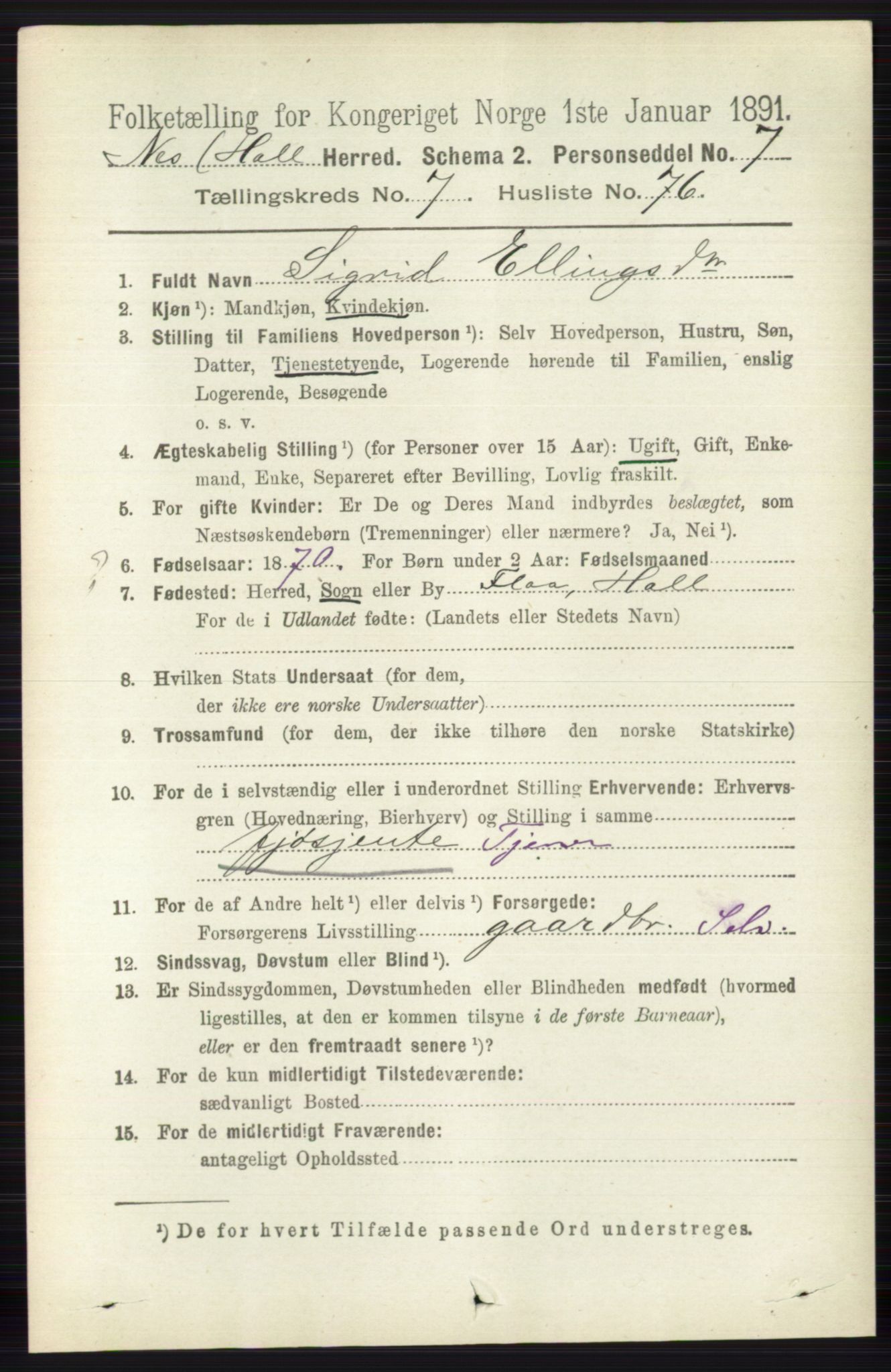 RA, 1891 census for 0616 Nes, 1891, p. 4040