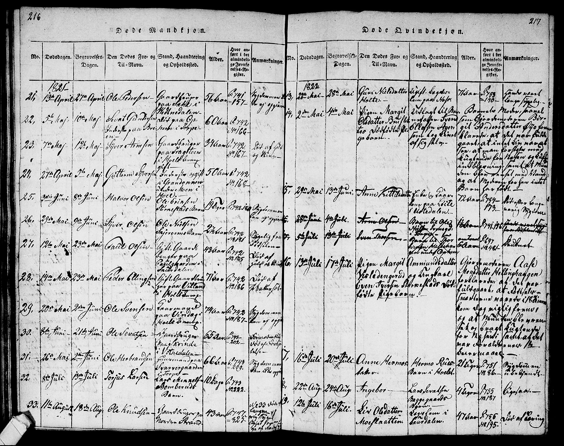 Ål kirkebøker, AV/SAKO-A-249/G/Ga/L0001: Parish register (copy) no. 1, 1815-1829, p. 216-217