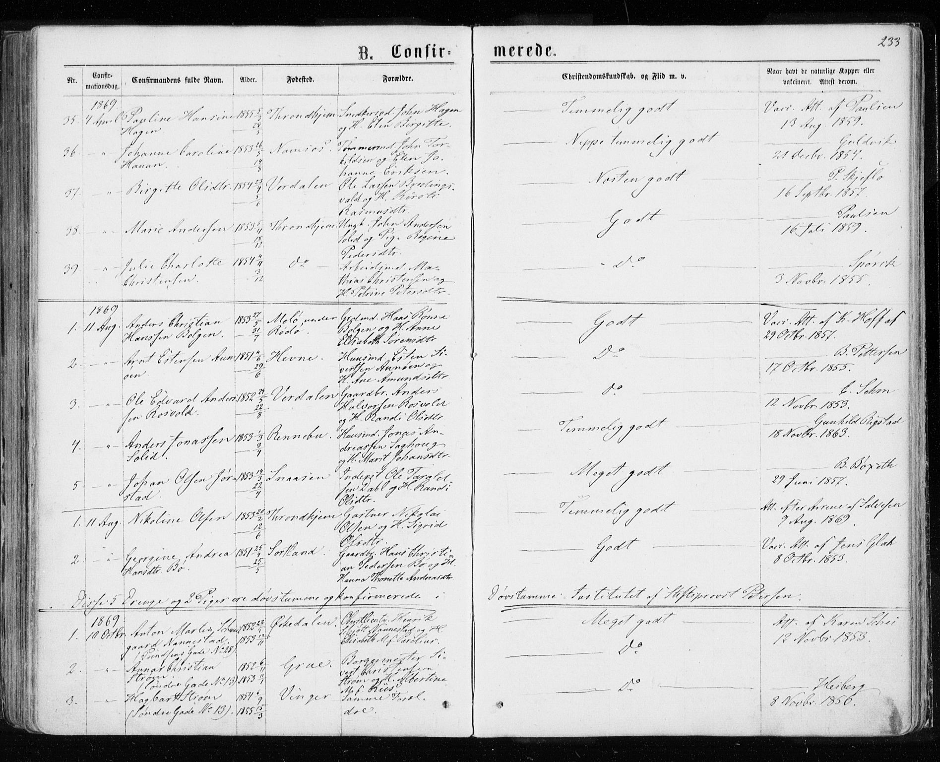Ministerialprotokoller, klokkerbøker og fødselsregistre - Sør-Trøndelag, SAT/A-1456/601/L0054: Parish register (official) no. 601A22, 1866-1877, p. 233