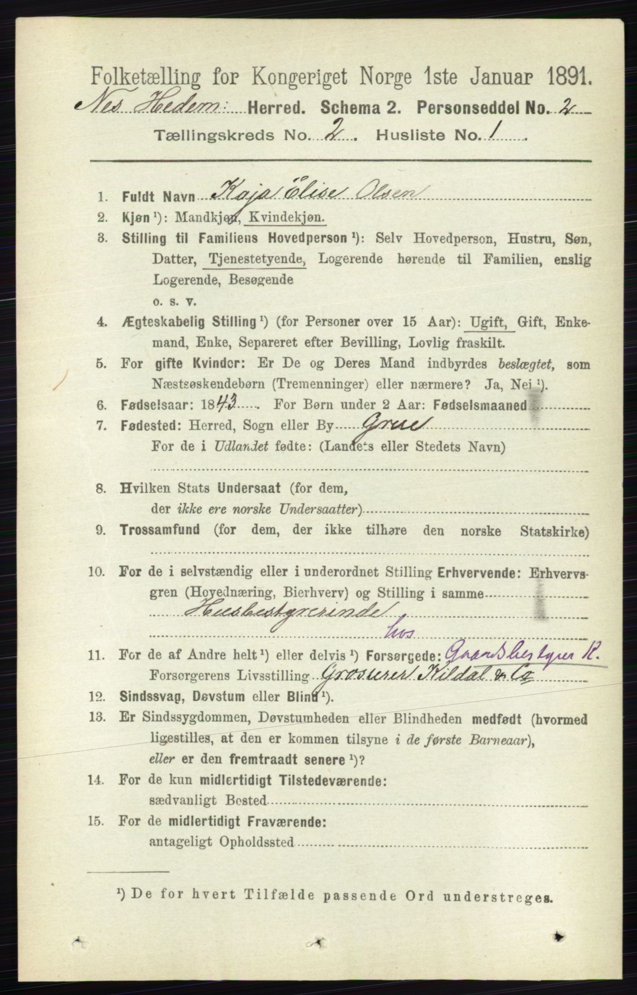 RA, 1891 census for 0411 Nes, 1891, p. 1073