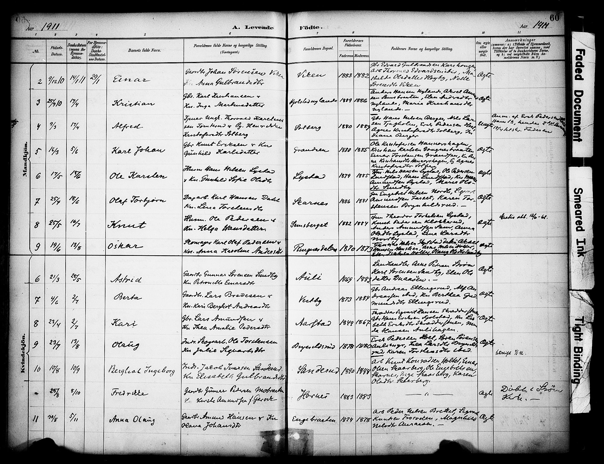 Sør-Odal prestekontor, SAH/PREST-030/H/Ha/Haa/L0009: Parish register (official) no. 9, 1886-1926, p. 60