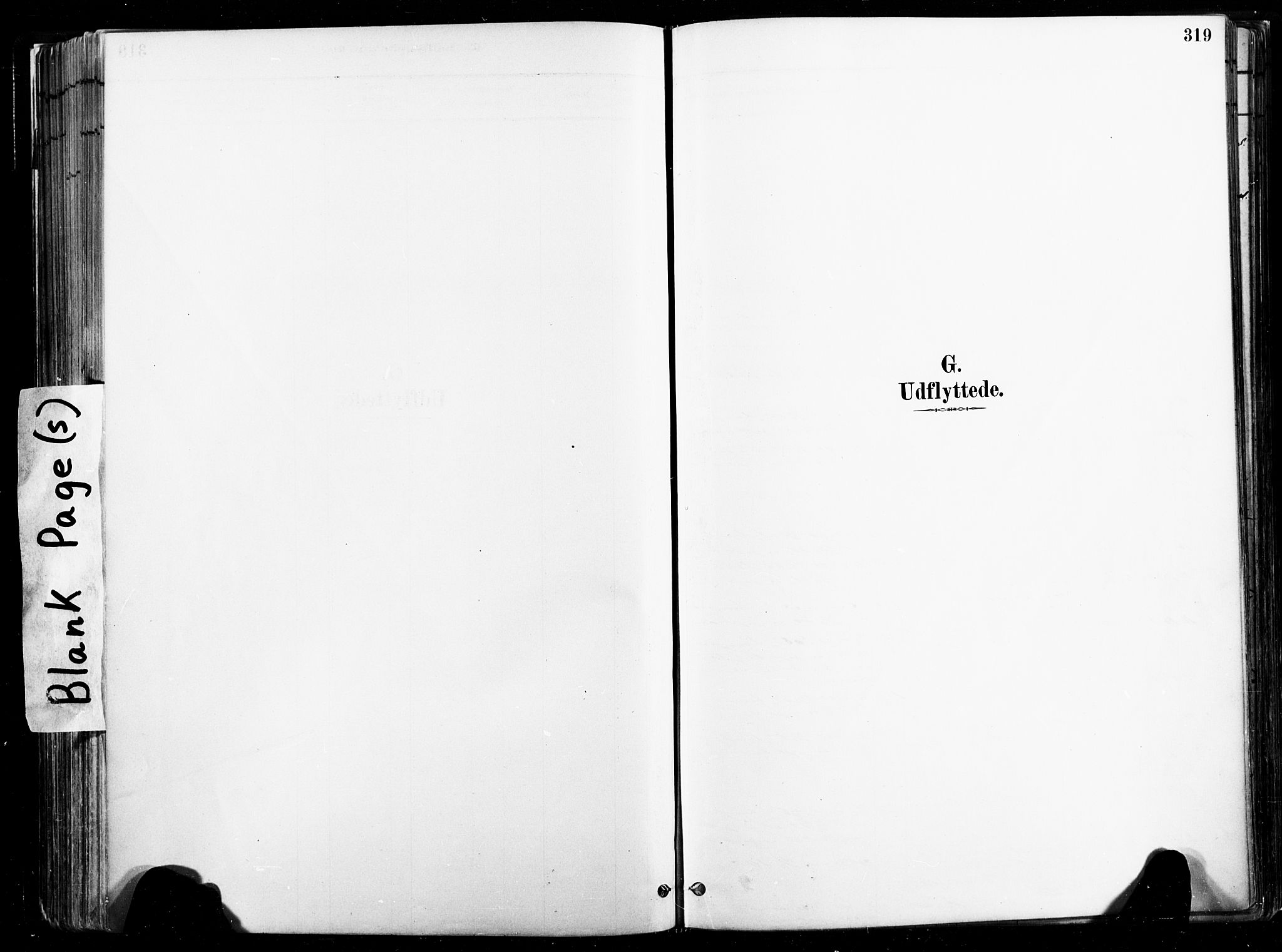 Ministerialprotokoller, klokkerbøker og fødselsregistre - Nord-Trøndelag, AV/SAT-A-1458/735/L0351: Parish register (official) no. 735A10, 1884-1908, p. 319