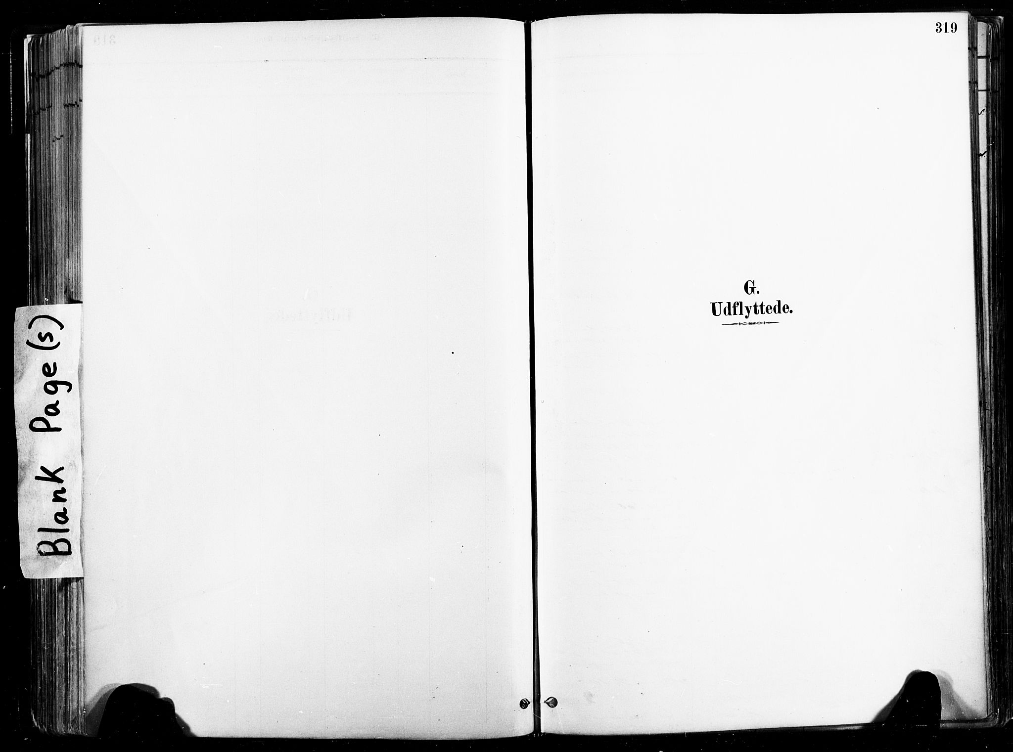 Ministerialprotokoller, klokkerbøker og fødselsregistre - Nord-Trøndelag, SAT/A-1458/735/L0351: Parish register (official) no. 735A10, 1884-1908, p. 319