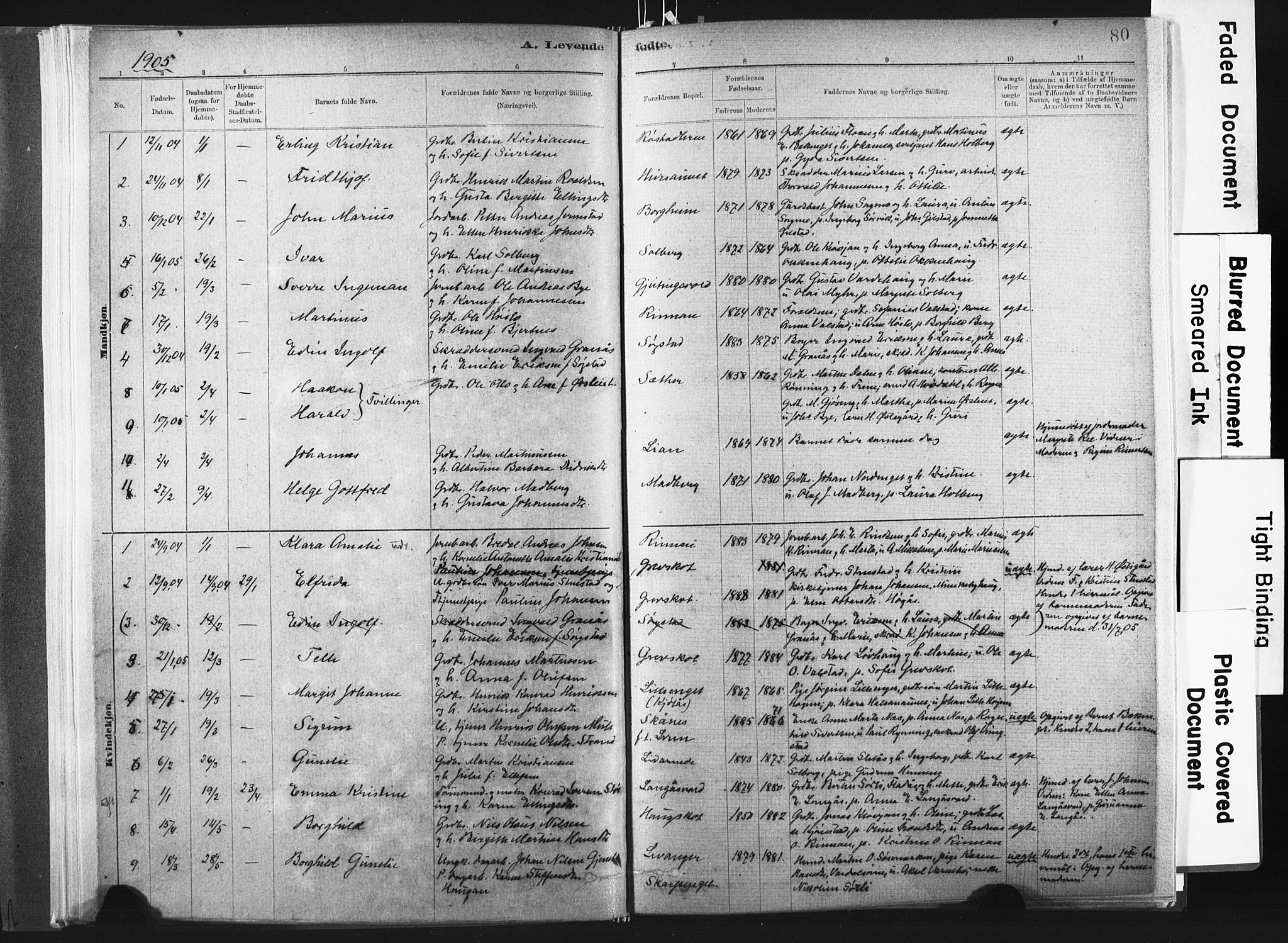 Ministerialprotokoller, klokkerbøker og fødselsregistre - Nord-Trøndelag, SAT/A-1458/721/L0207: Parish register (official) no. 721A02, 1880-1911, p. 80