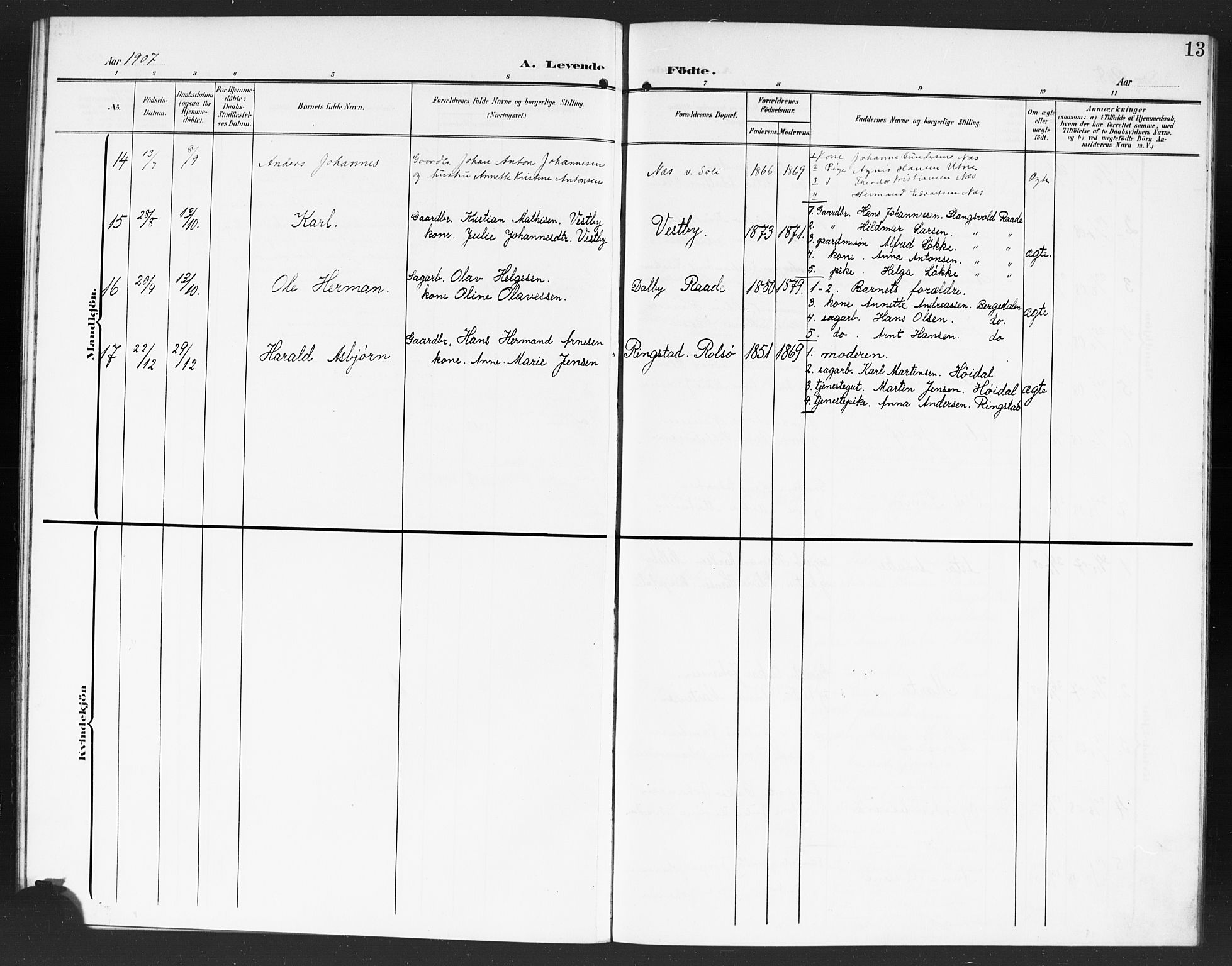 Tune prestekontor Kirkebøker, AV/SAO-A-2007/G/Gb/L0001: Parish register (copy) no. II 1, 1904-1917, p. 13