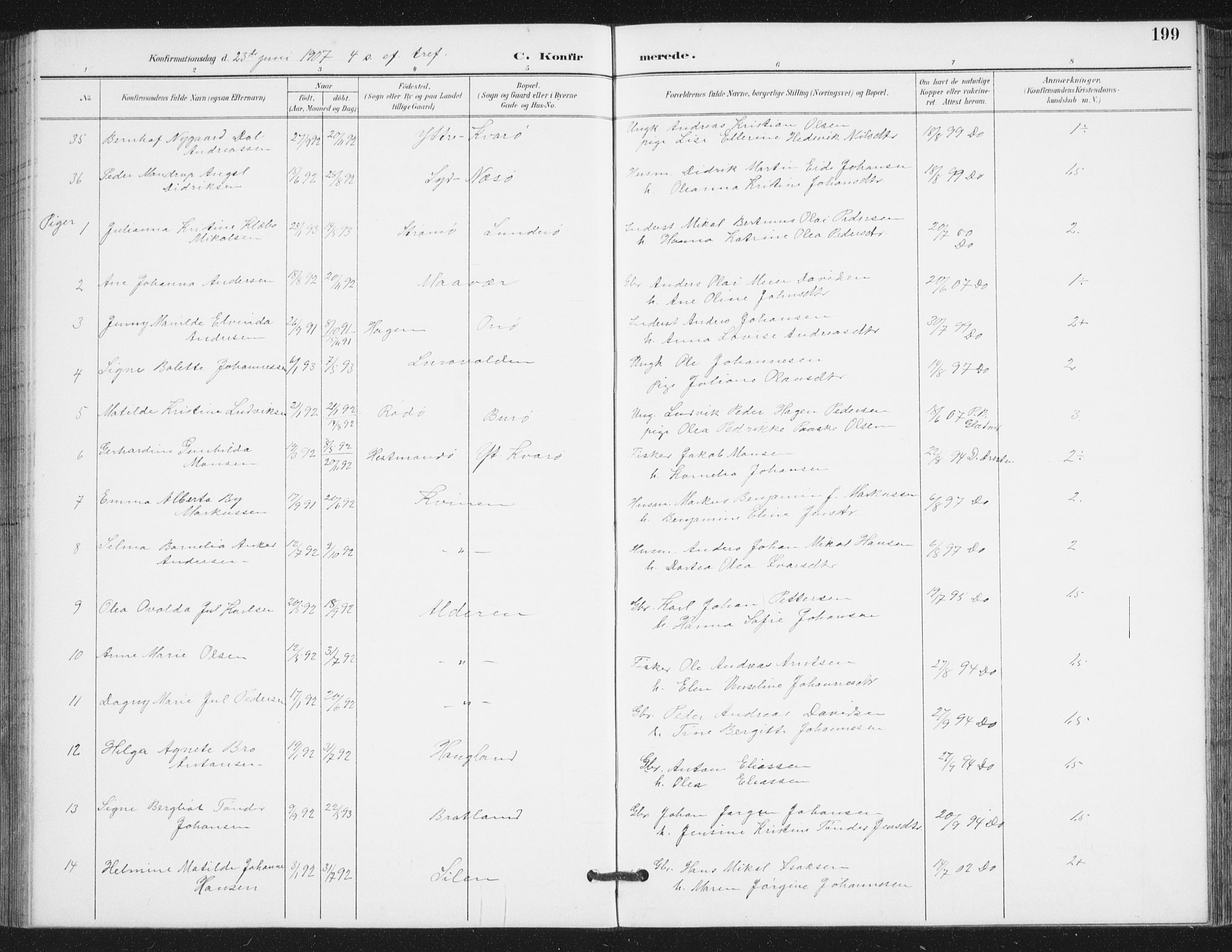 Ministerialprotokoller, klokkerbøker og fødselsregistre - Nordland, AV/SAT-A-1459/839/L0573: Parish register (copy) no. 839C03, 1892-1917, p. 199