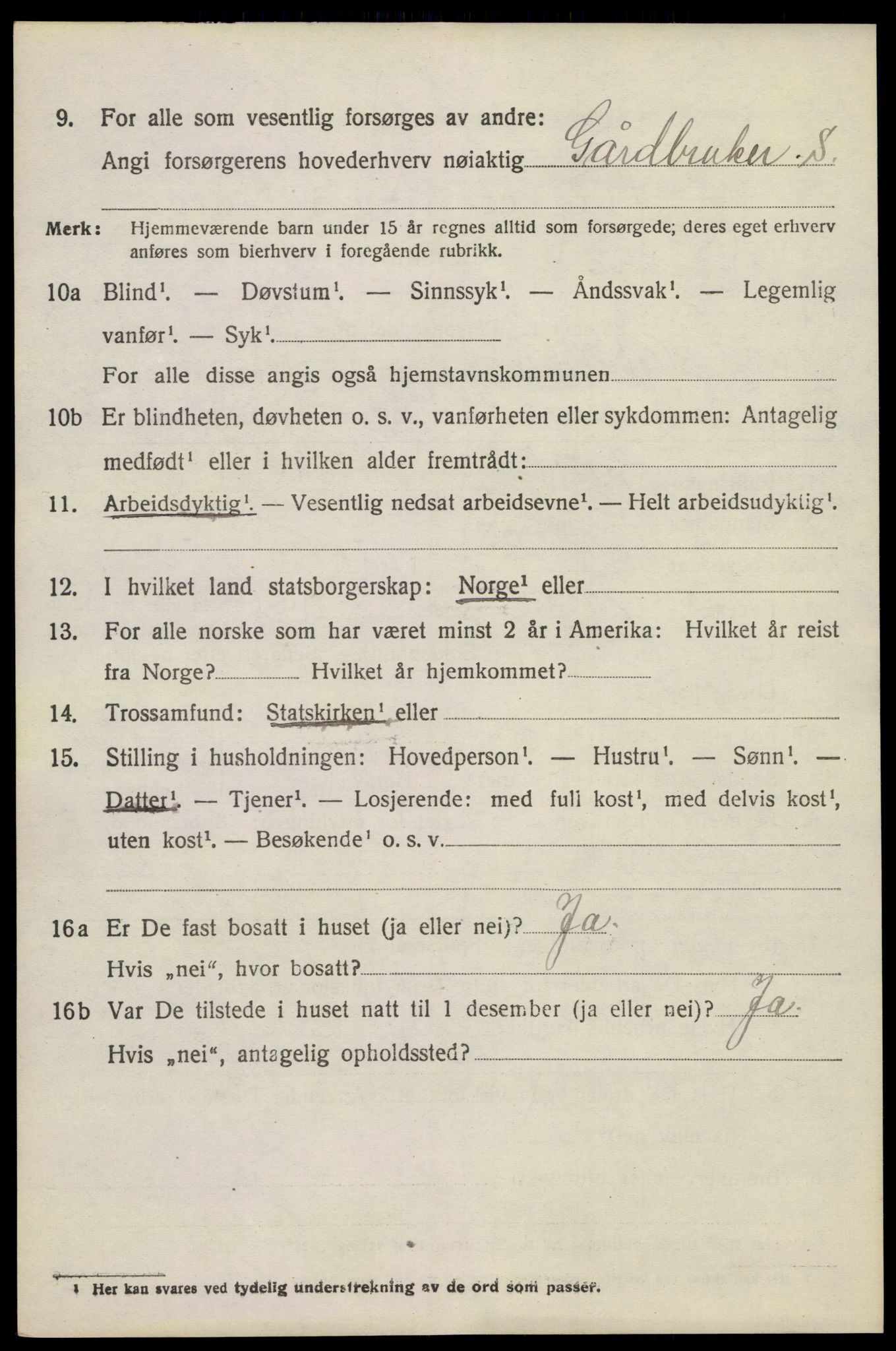 SAKO, 1920 census for Brunlanes, 1920, p. 3820