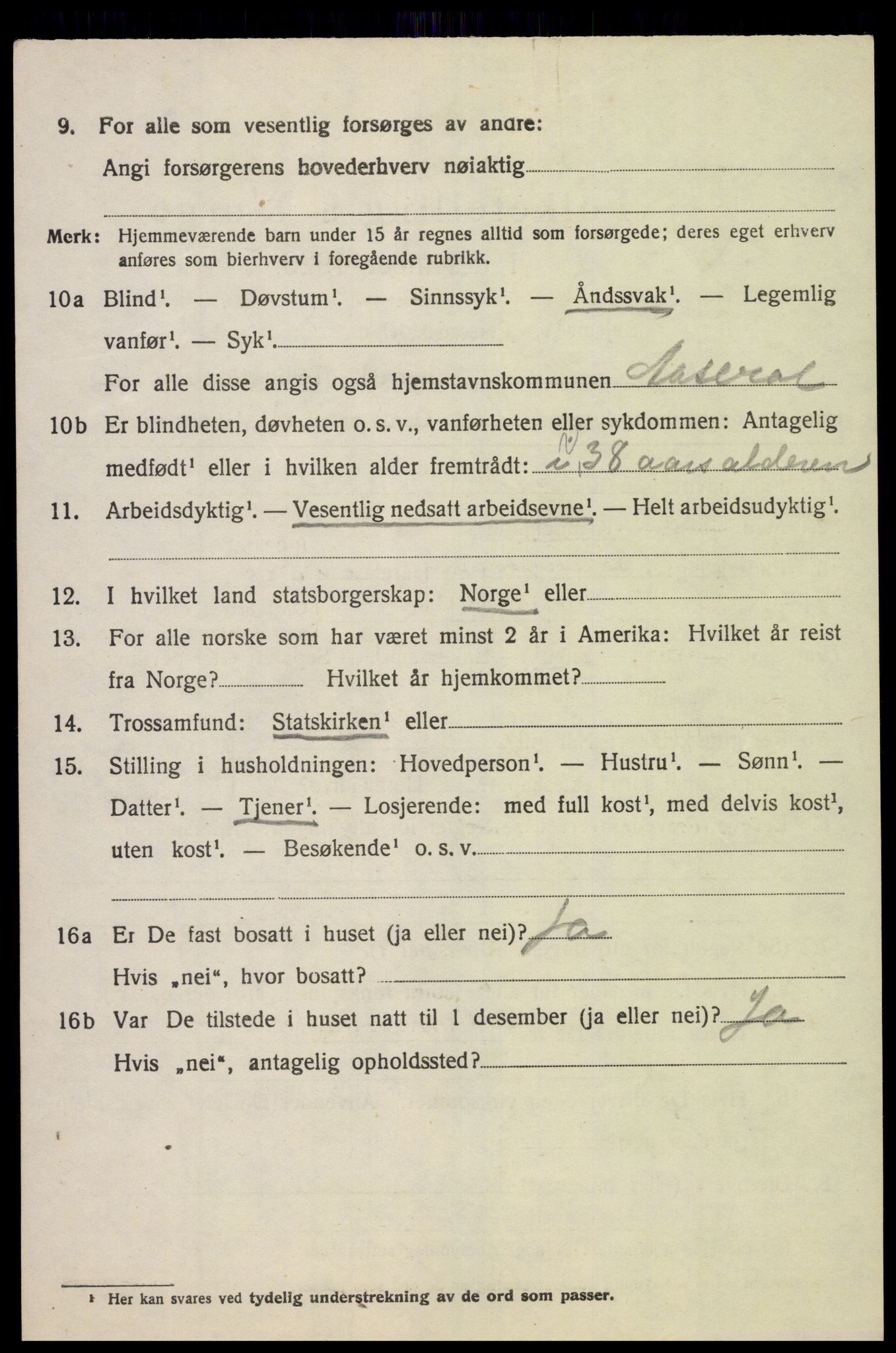 SAK, 1920 census for Åseral, 1920, p. 1167