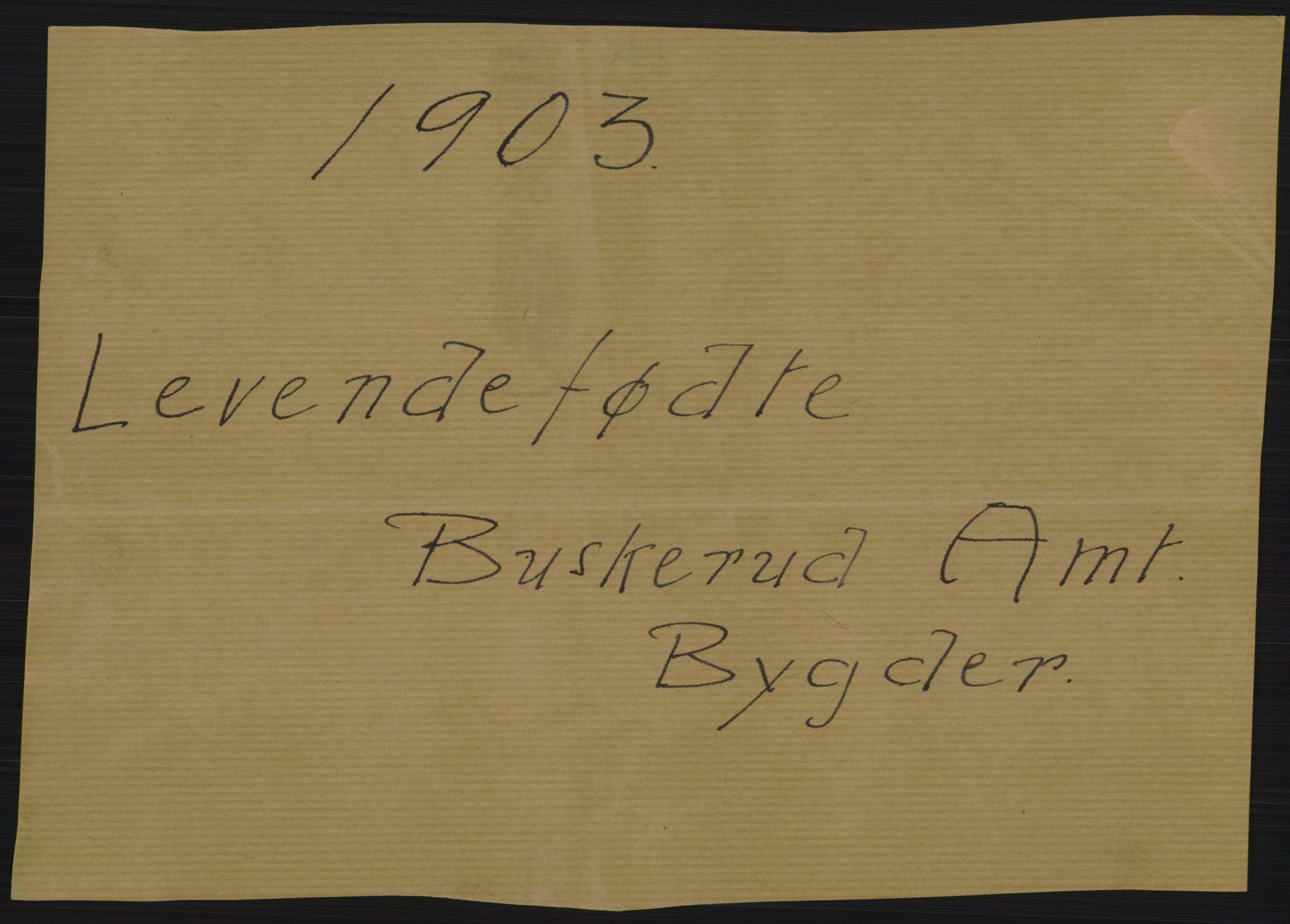 Statistisk sentralbyrå, Sosiodemografiske emner, Befolkning, RA/S-2228/D/Df/Dfa/Dfaa/L0007: Buskeruds amt: Fødte, gifte, døde, 1903, p. 1