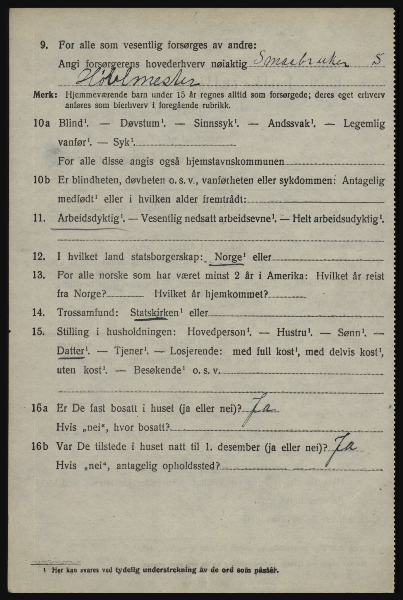 SAO, 1920 census for Skjeberg, 1920, p. 4972