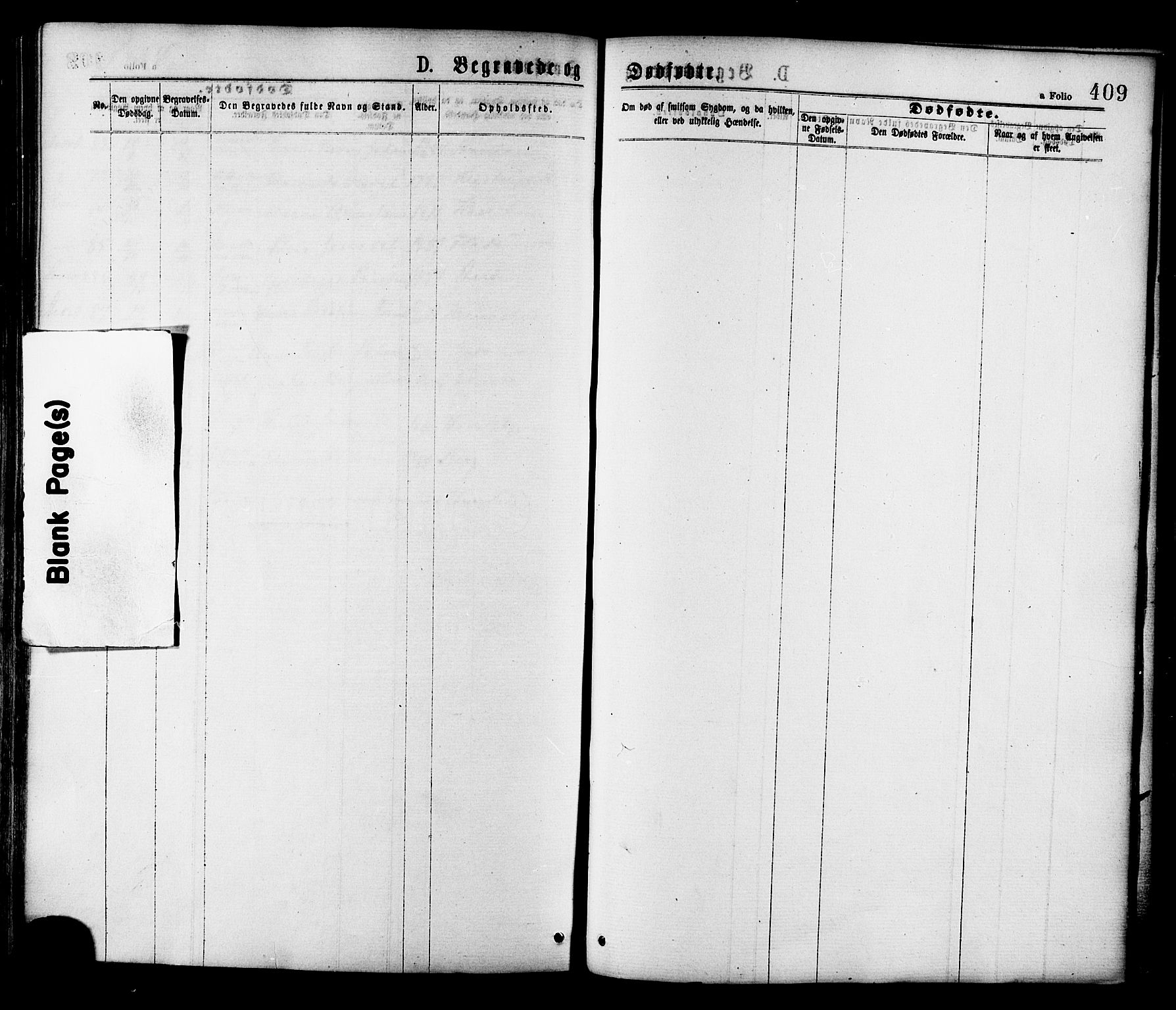 Ministerialprotokoller, klokkerbøker og fødselsregistre - Sør-Trøndelag, SAT/A-1456/646/L0613: Parish register (official) no. 646A11, 1870-1884, p. 409
