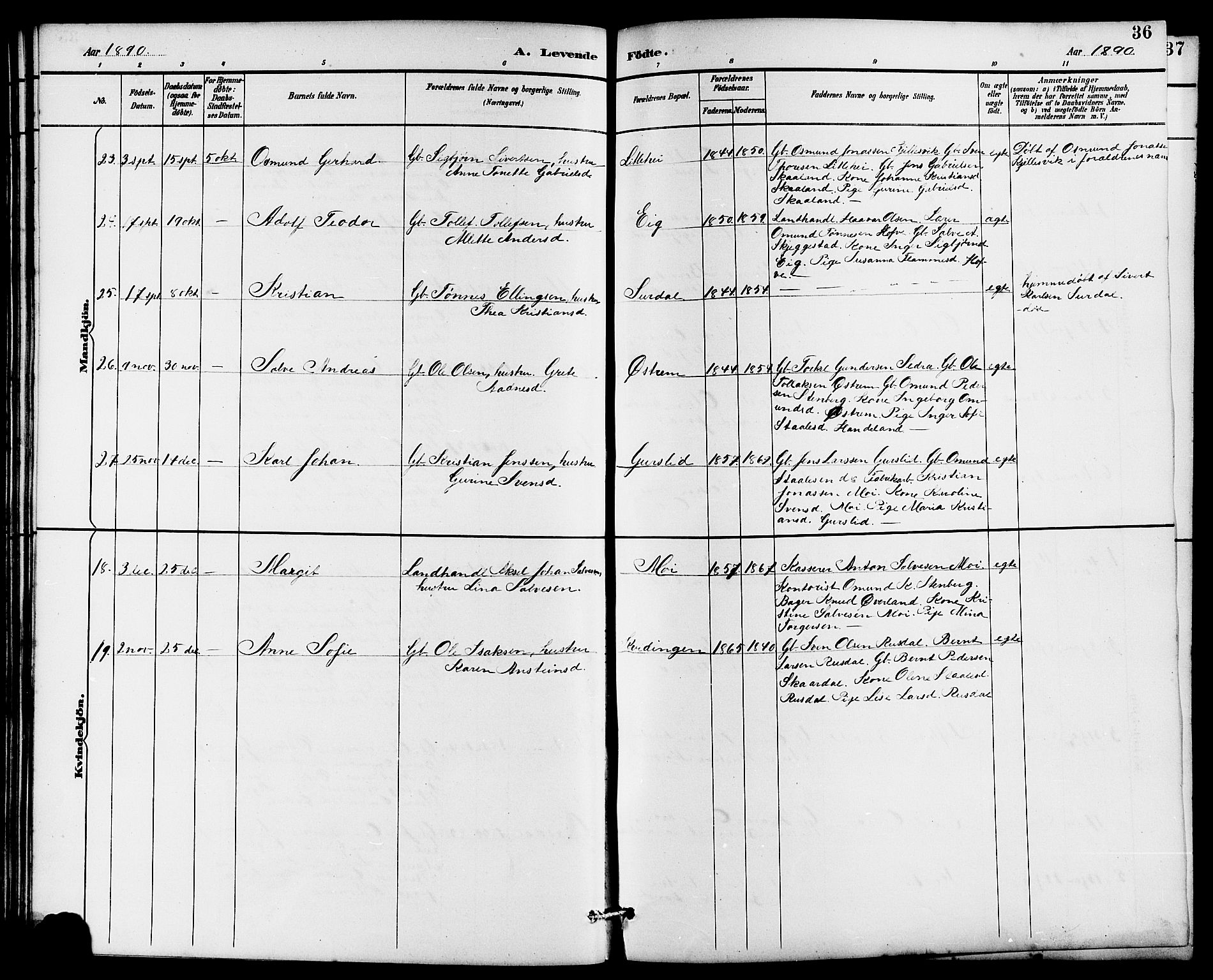 Lund sokneprestkontor, AV/SAST-A-101809/S07/L0006: Parish register (copy) no. B 6, 1885-1901, p. 36