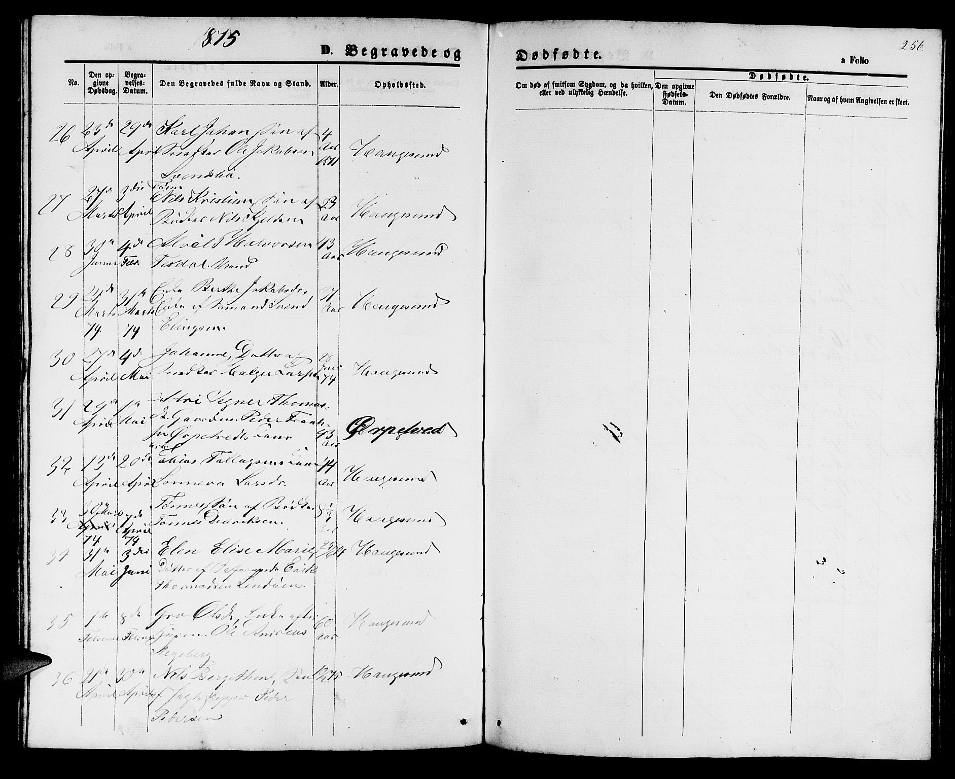 Haugesund sokneprestkontor, AV/SAST-A -101863/H/Ha/Hab/L0001: Parish register (copy) no. B 1, 1873-1881, p. 256