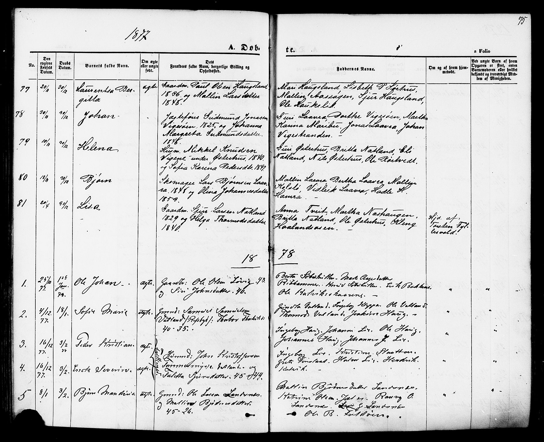 Jelsa sokneprestkontor, SAST/A-101842/01/IV: Parish register (official) no. A 8, 1867-1883, p. 75