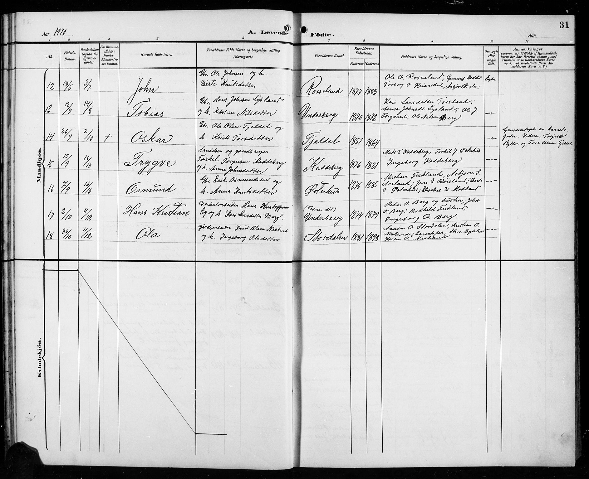 Åseral sokneprestkontor, SAK/1111-0051/F/Fb/L0003: Parish register (copy) no. B 3, 1900-1919, p. 31