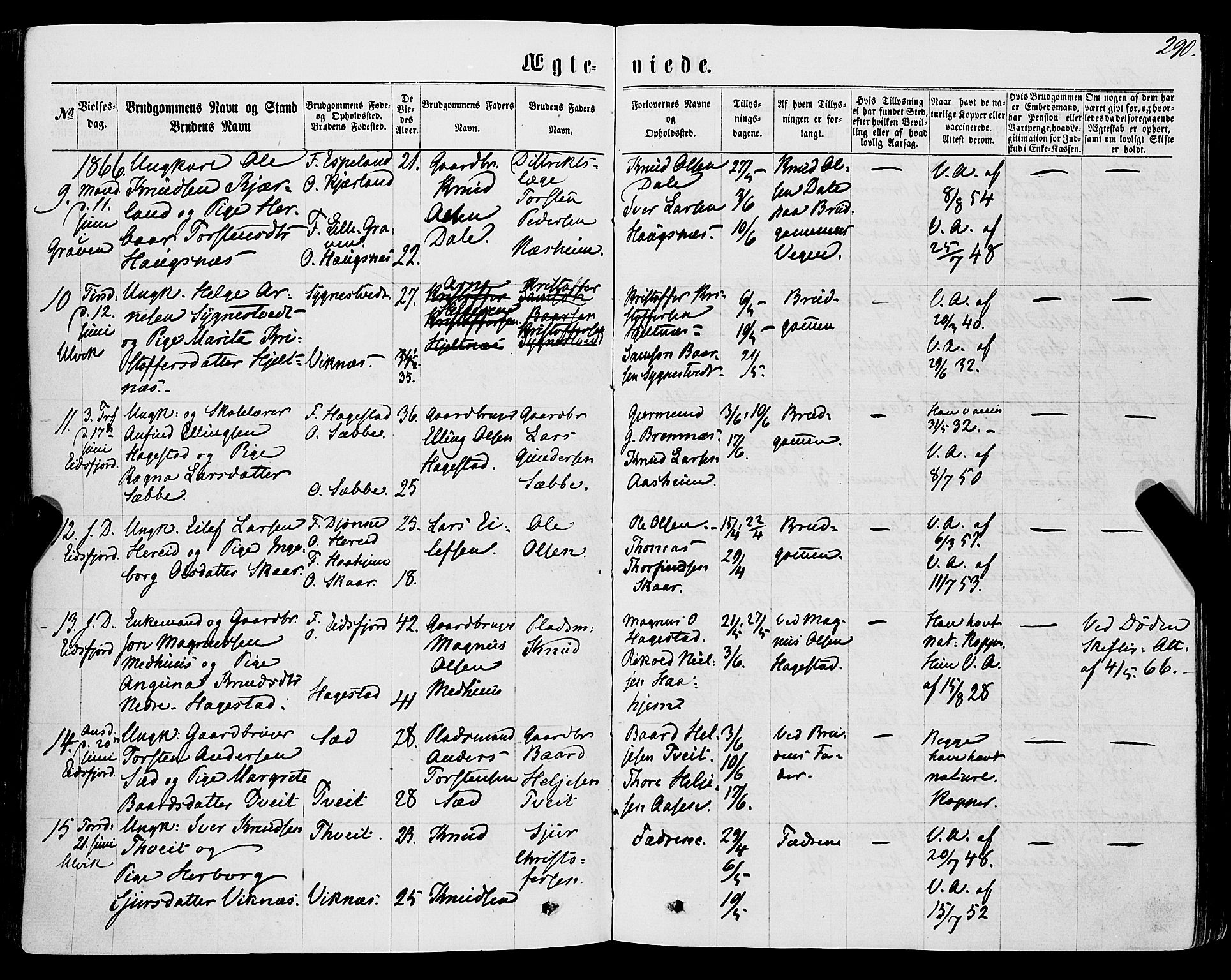 Ulvik sokneprestembete, AV/SAB-A-78801/H/Haa: Parish register (official) no. A 15, 1864-1878, p. 290