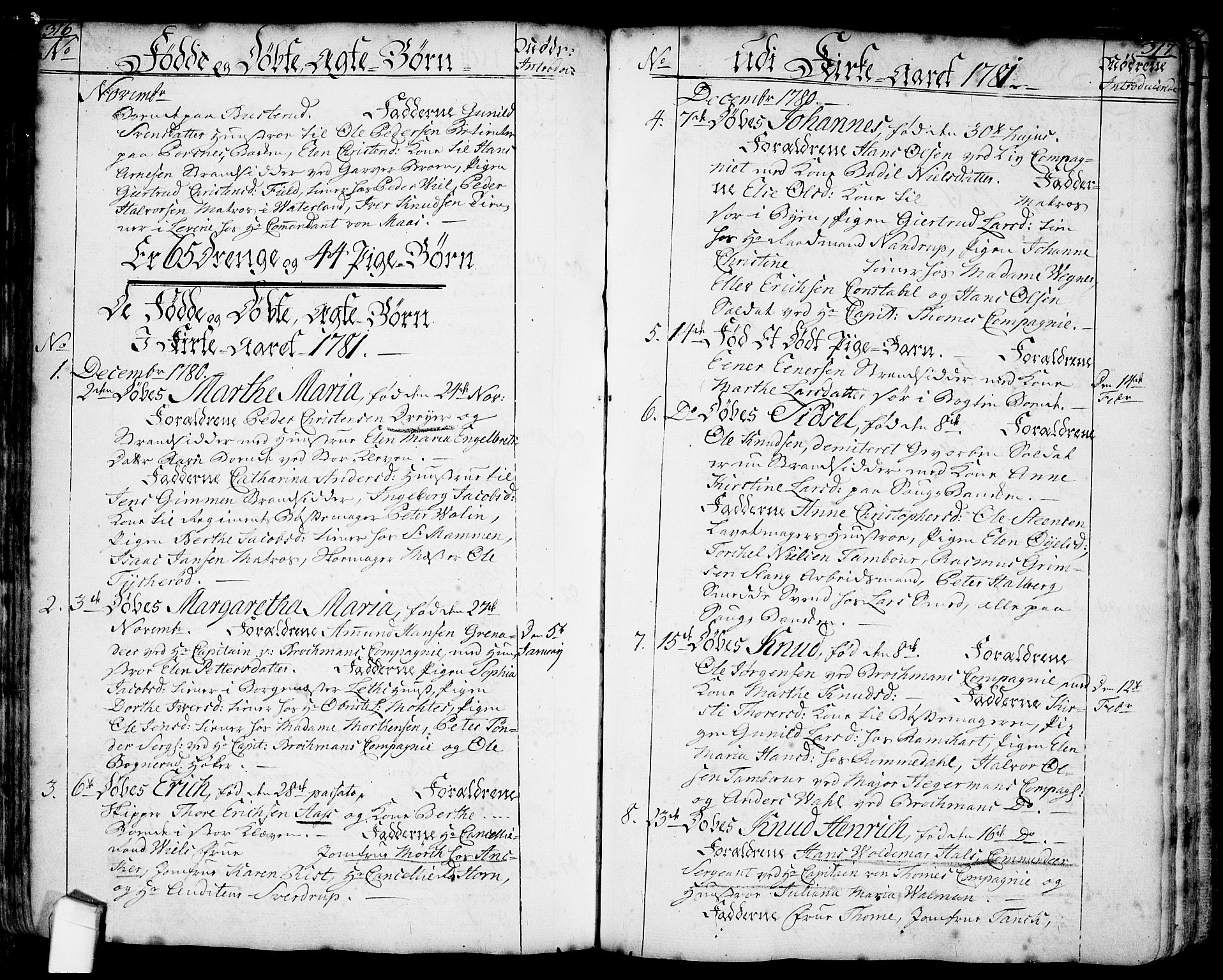 Halden prestekontor Kirkebøker, SAO/A-10909/F/Fa/L0001: Parish register (official) no. I 1, 1758-1791, p. 316-317