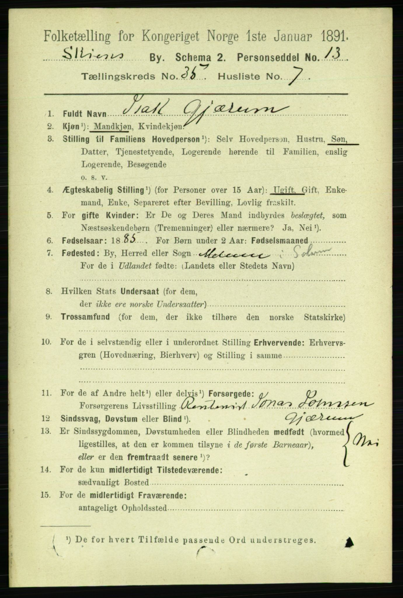 RA, 1891 census for 0806 Skien, 1891, p. 7941