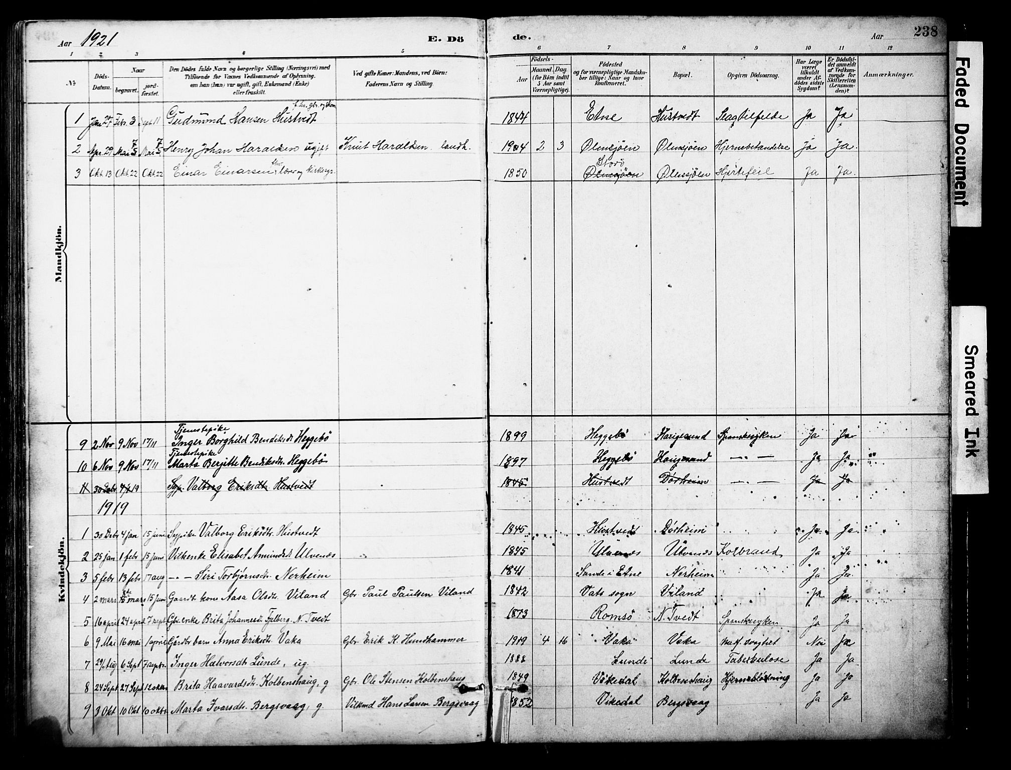 Ølen Sokneprestembete, AV/SAB-A-79201/H/Hab: Parish register (copy) no. A 4, 1888-1930, p. 238