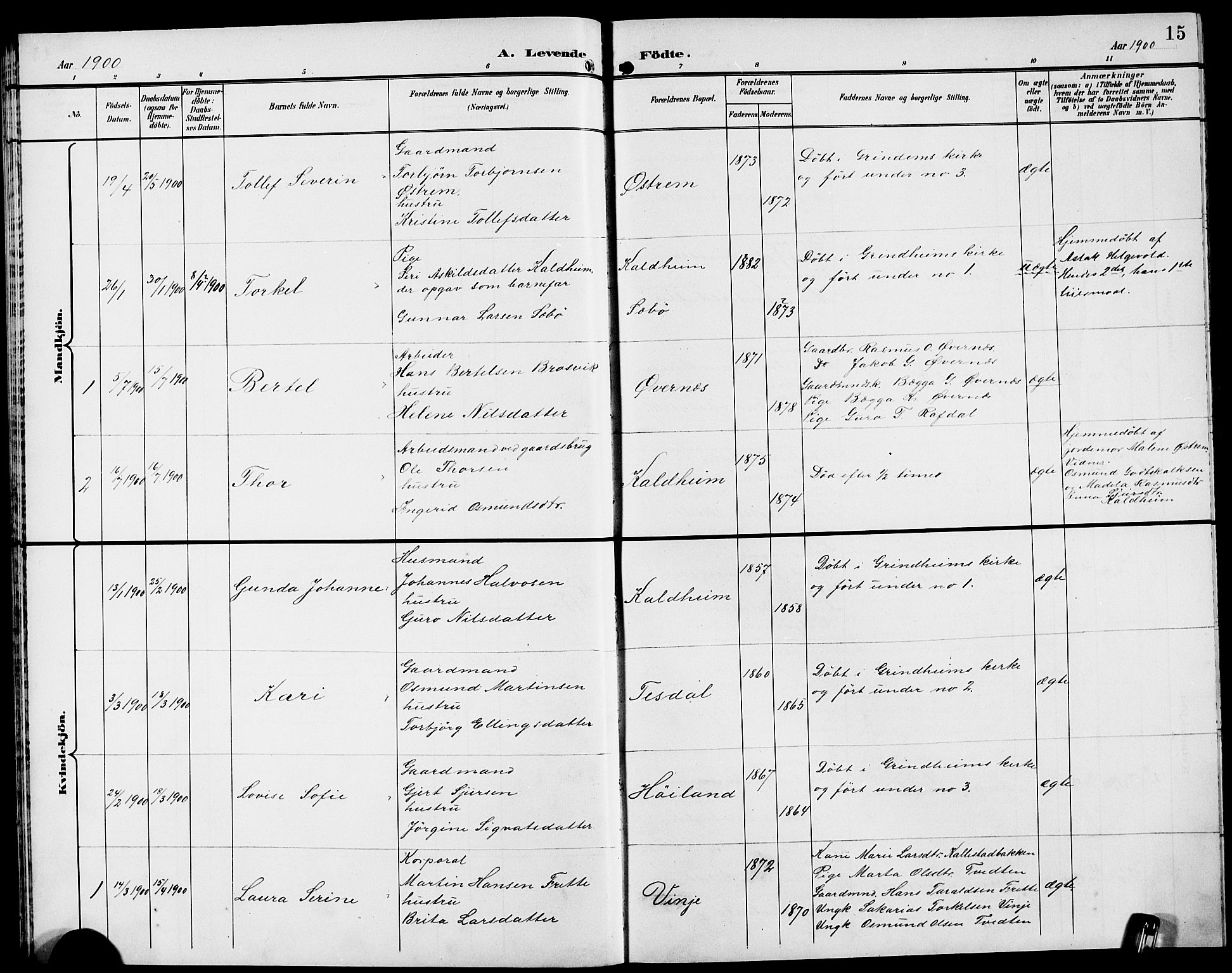 Etne sokneprestembete, SAB/A-75001/H/Hab: Parish register (copy) no. A 6, 1897-1924, p. 15