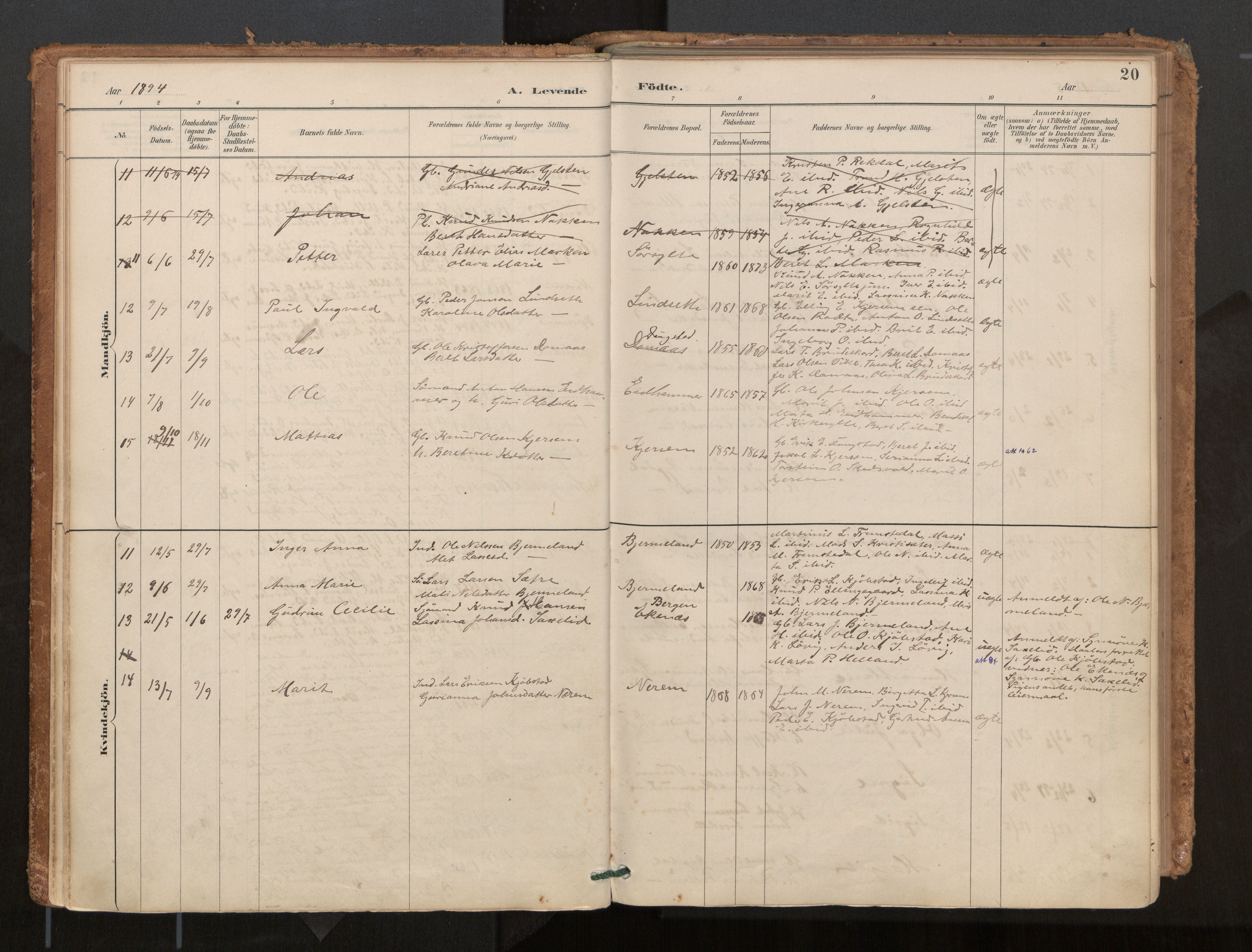 Ministerialprotokoller, klokkerbøker og fødselsregistre - Møre og Romsdal, AV/SAT-A-1454/541/L0545a: Parish register (official) no. 541A03, 1887-1912, p. 20