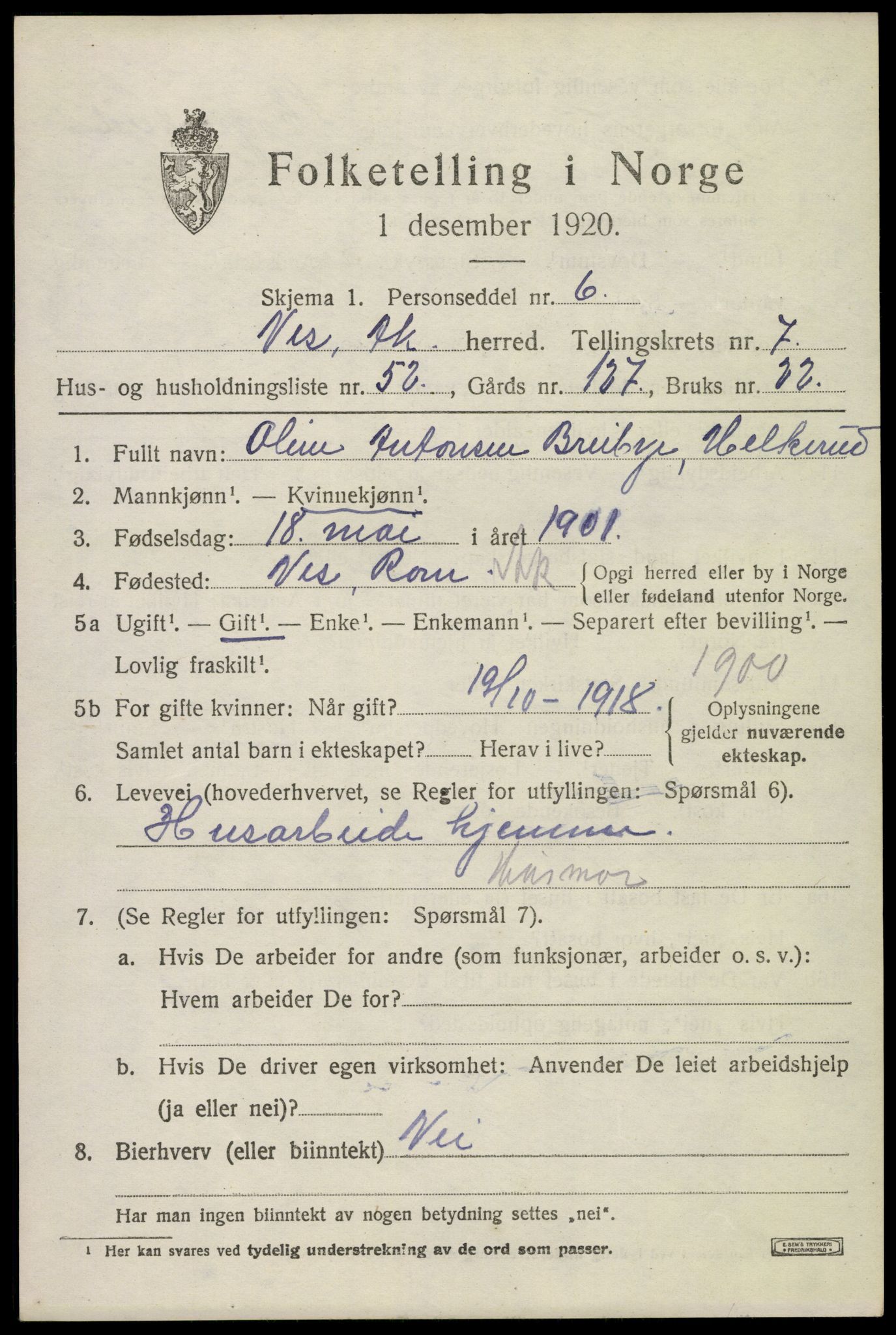 SAO, 1920 census for Nes, 1920, p. 8894