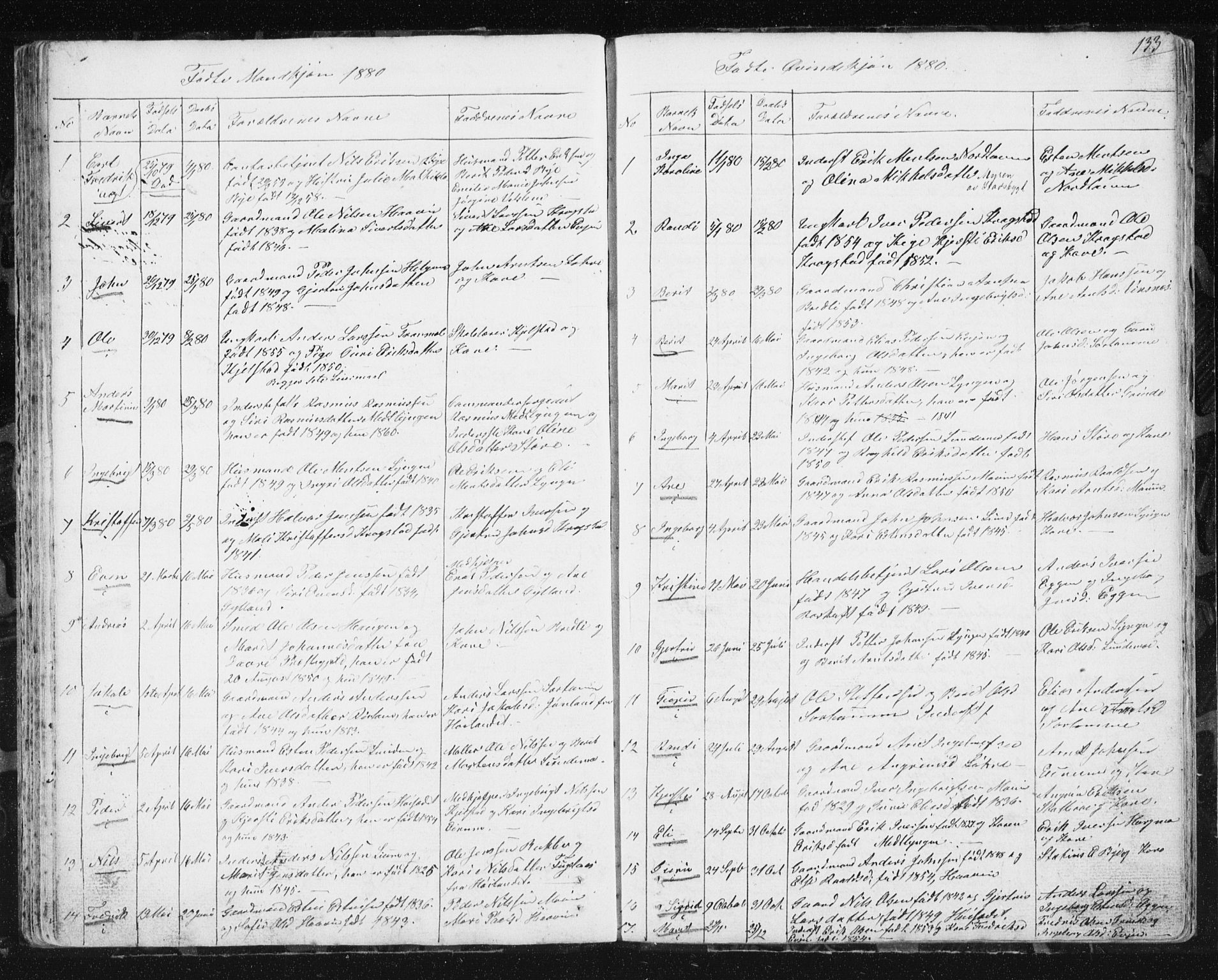 Ministerialprotokoller, klokkerbøker og fødselsregistre - Sør-Trøndelag, SAT/A-1456/692/L1110: Parish register (copy) no. 692C05, 1849-1889, p. 133