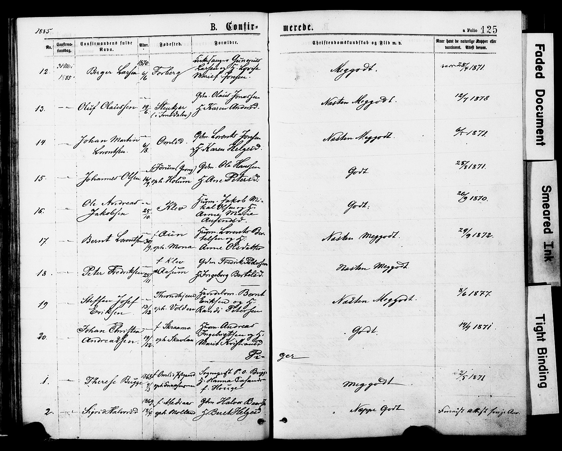 Ministerialprotokoller, klokkerbøker og fødselsregistre - Nord-Trøndelag, AV/SAT-A-1458/749/L0473: Parish register (official) no. 749A07, 1873-1887, p. 125
