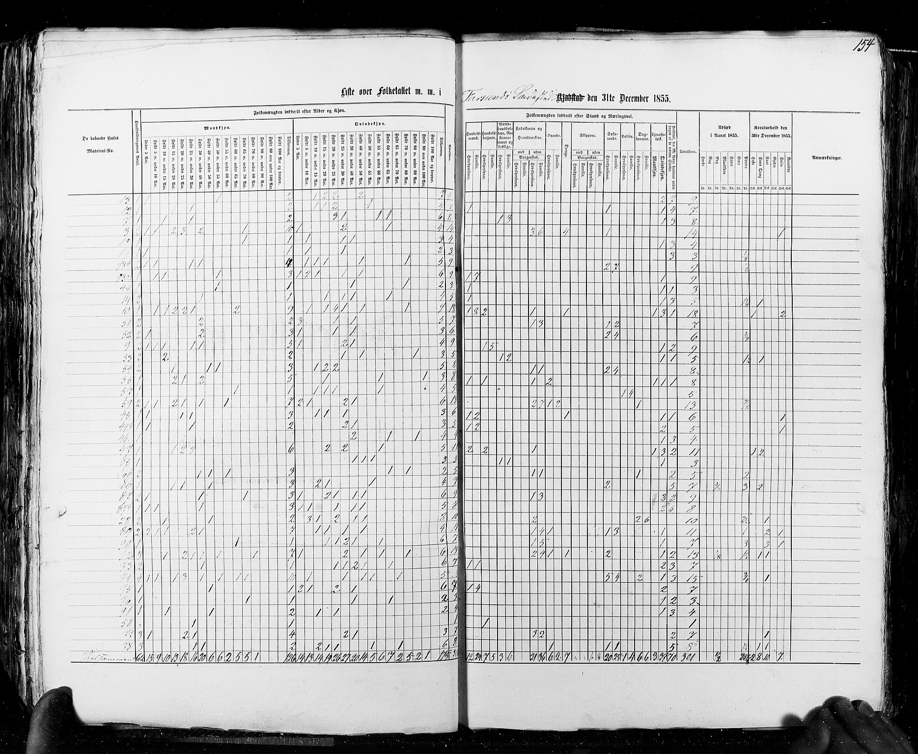 RA, Census 1855, vol. 8: Risør-Vadsø, 1855, p. 154