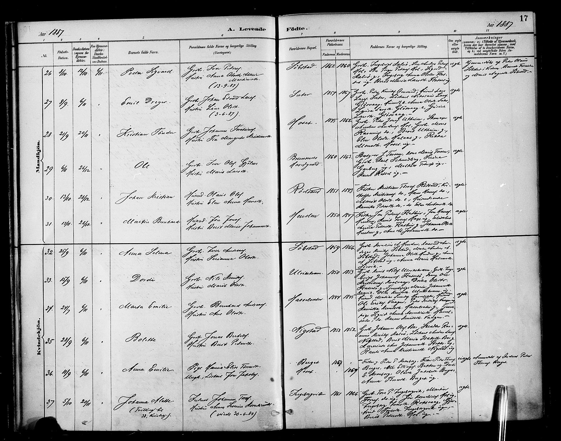 Ministerialprotokoller, klokkerbøker og fødselsregistre - Møre og Romsdal, AV/SAT-A-1454/569/L0819: Parish register (official) no. 569A05, 1885-1899, p. 17