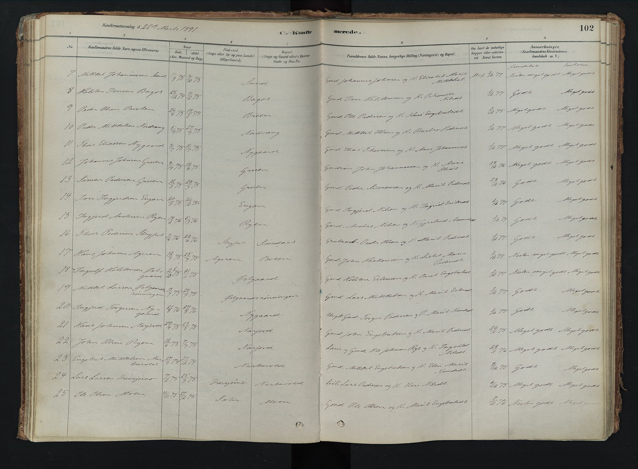 Tolga prestekontor, AV/SAH-PREST-062/K/L0008: Parish register (official) no. 8, 1877-1910, p. 102