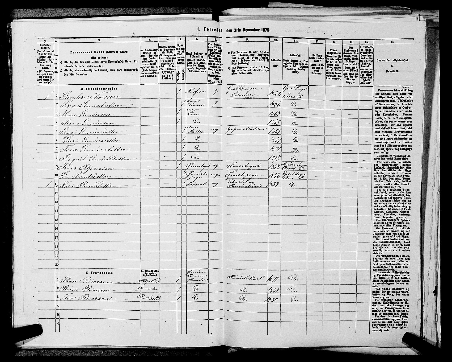 SAKO, 1875 census for 0633P Nore, 1875, p. 302