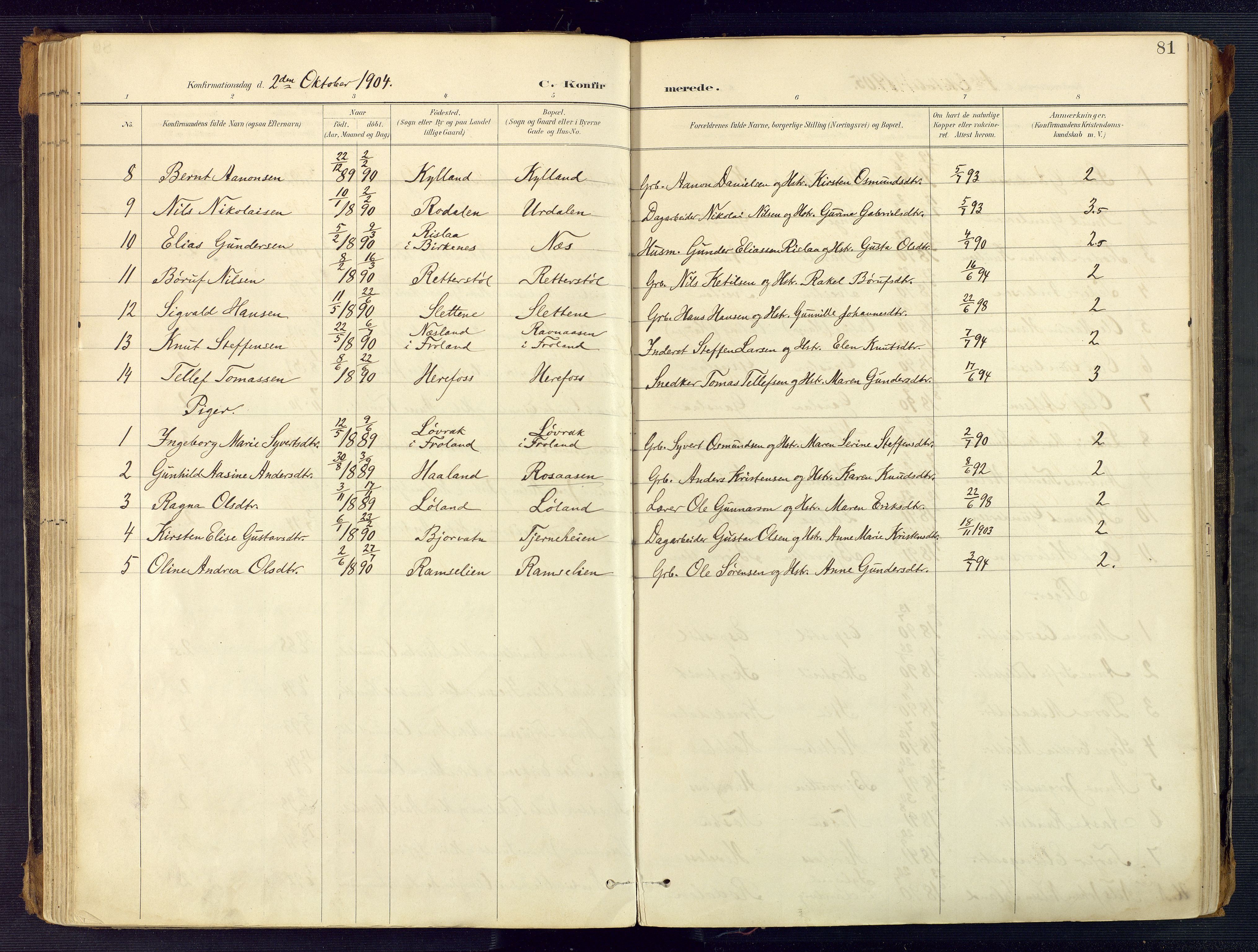 Herefoss sokneprestkontor, AV/SAK-1111-0019/F/Fa/Faa/L0003: Parish register (official) no. A 3, 1887-1930, p. 81