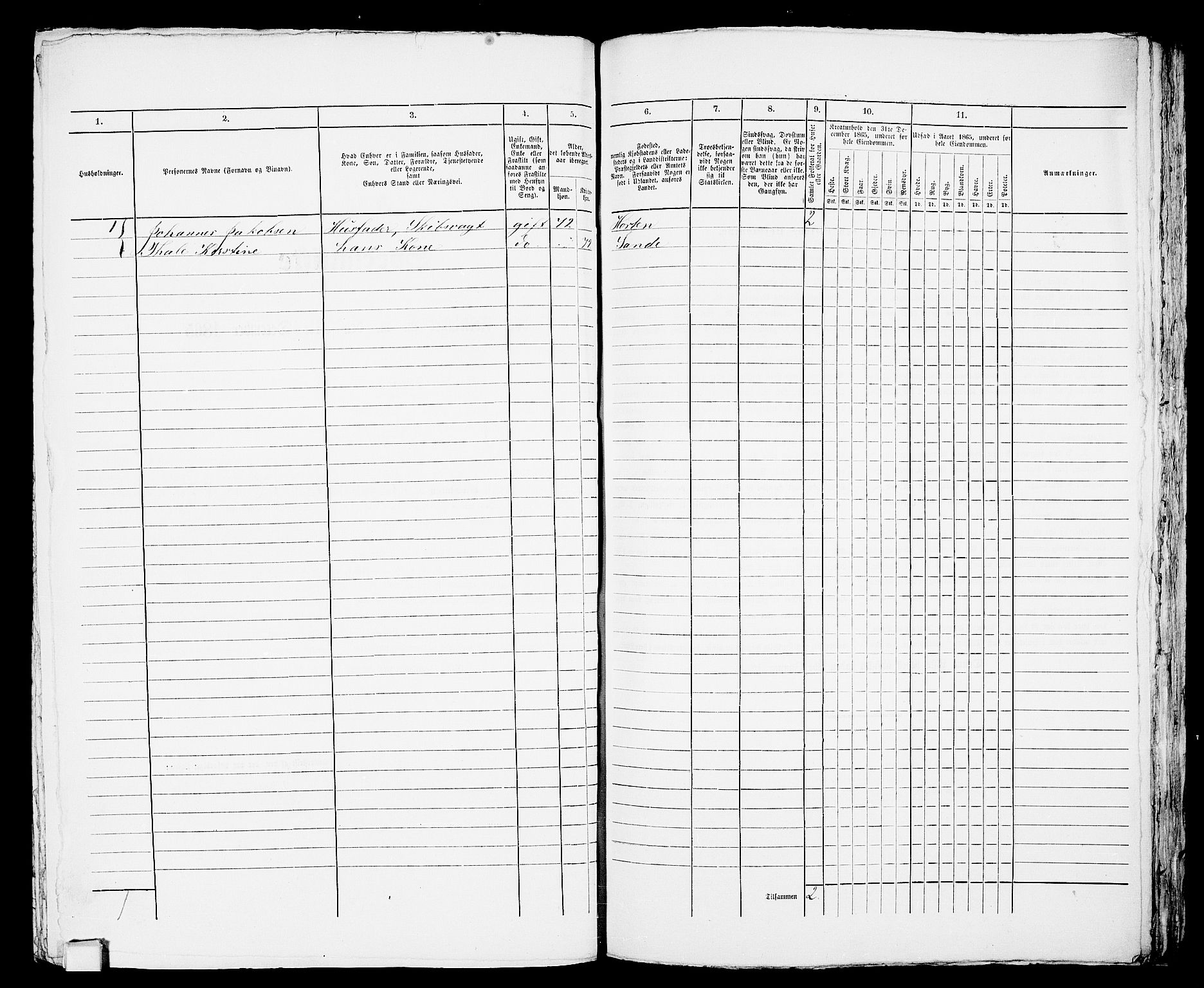 RA, 1865 census for Horten, 1865, p. 272