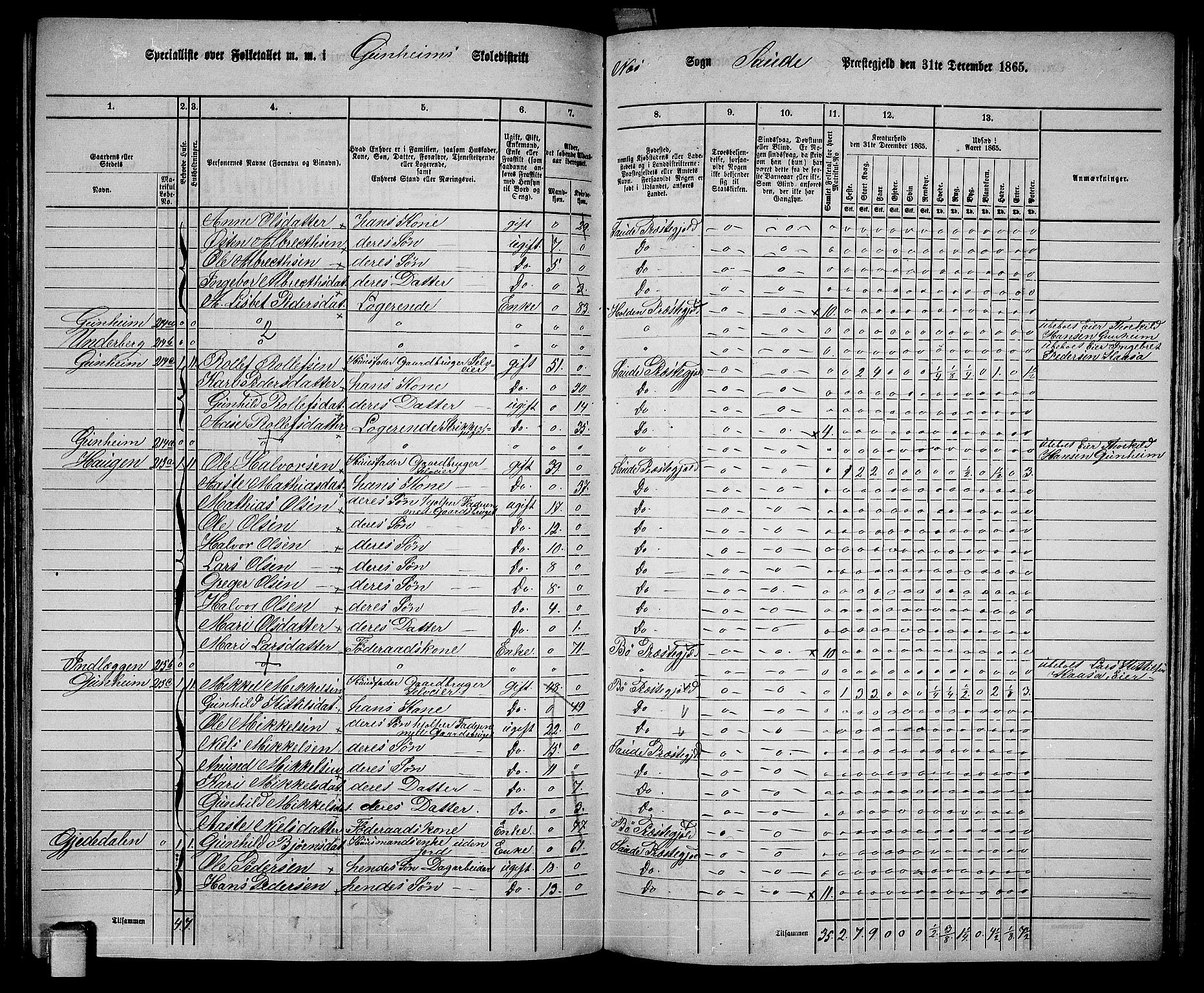 RA, 1865 census for Sauherad, 1865, p. 117