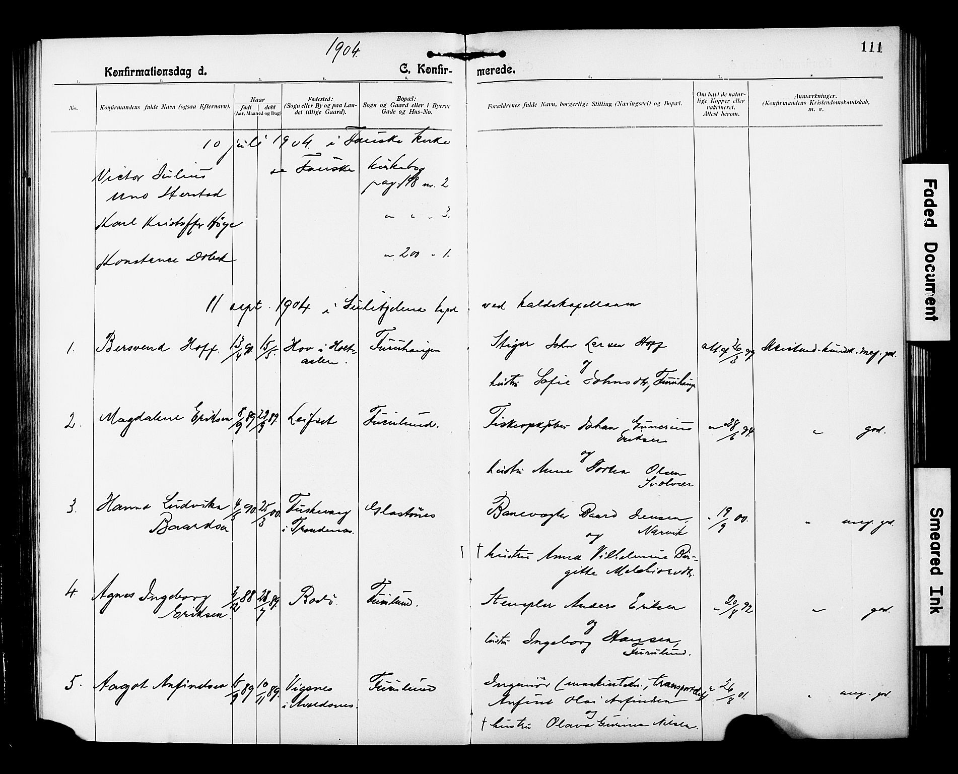 Ministerialprotokoller, klokkerbøker og fødselsregistre - Nordland, AV/SAT-A-1459/850/L0709: Parish register (official) no. 850A01, 1899-1909, p. 111