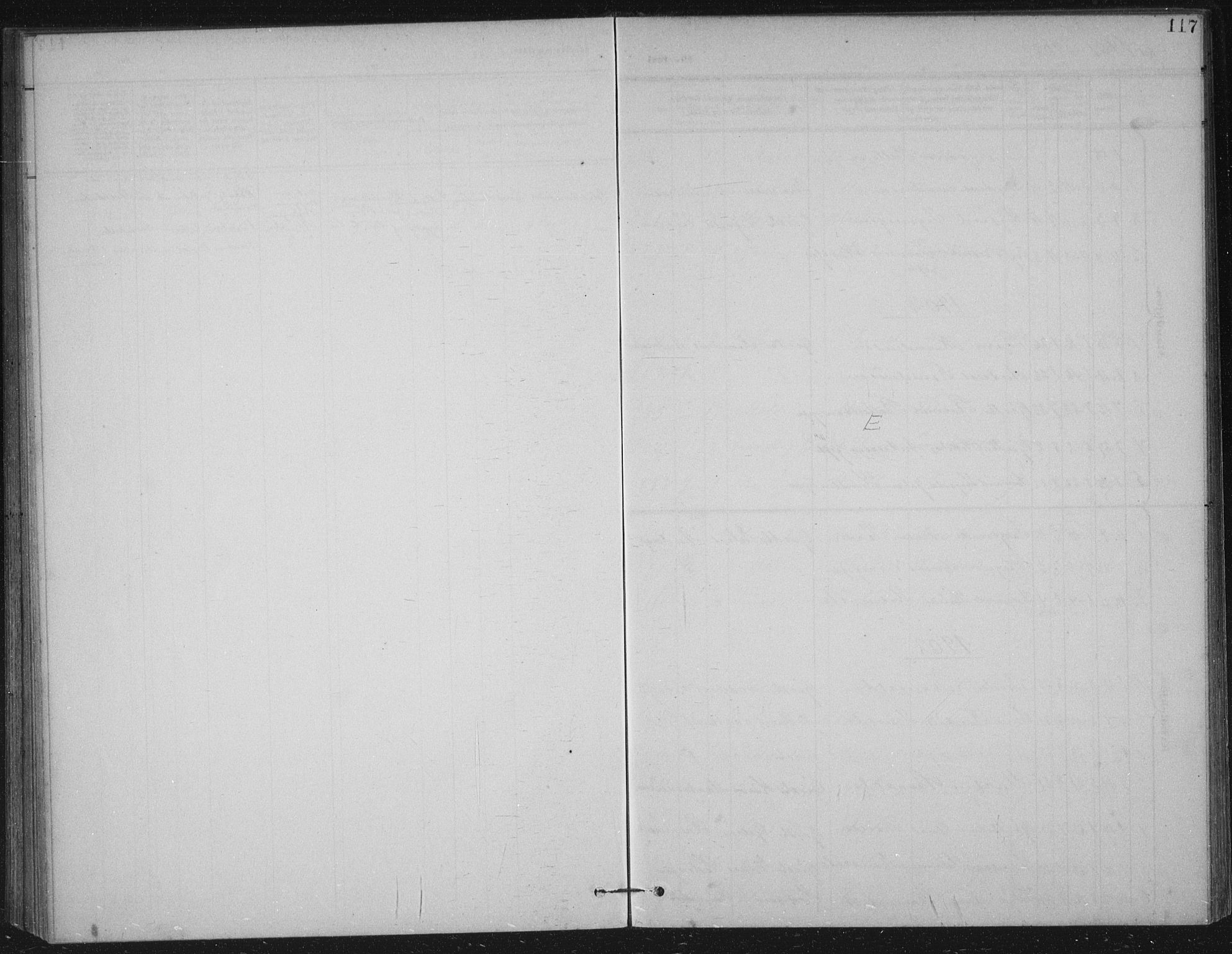 Håland sokneprestkontor, AV/SAST-A-101802/002/B/L0001: Parish register (official) no. A 13, 1901-1923, p. 117