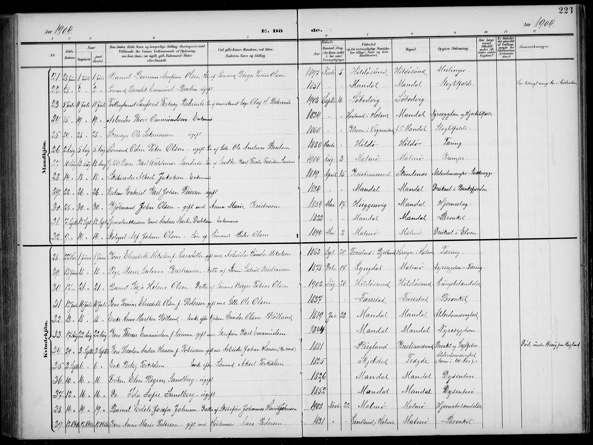 Mandal sokneprestkontor, SAK/1111-0030/F/Fb/Fba/L0012: Parish register (copy) no. B 6, 1899-1918, p. 223