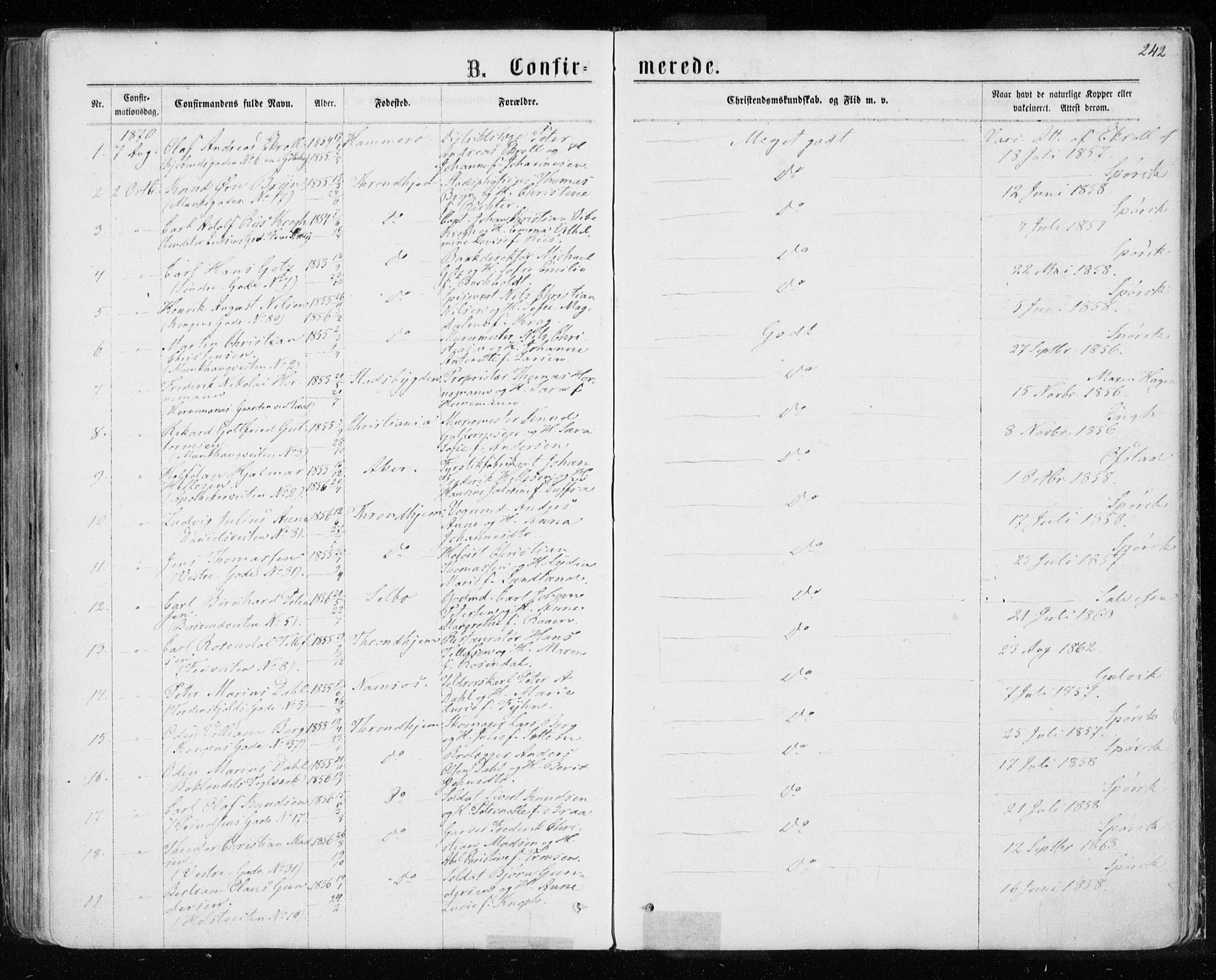 Ministerialprotokoller, klokkerbøker og fødselsregistre - Sør-Trøndelag, AV/SAT-A-1456/601/L0054: Parish register (official) no. 601A22, 1866-1877, p. 242