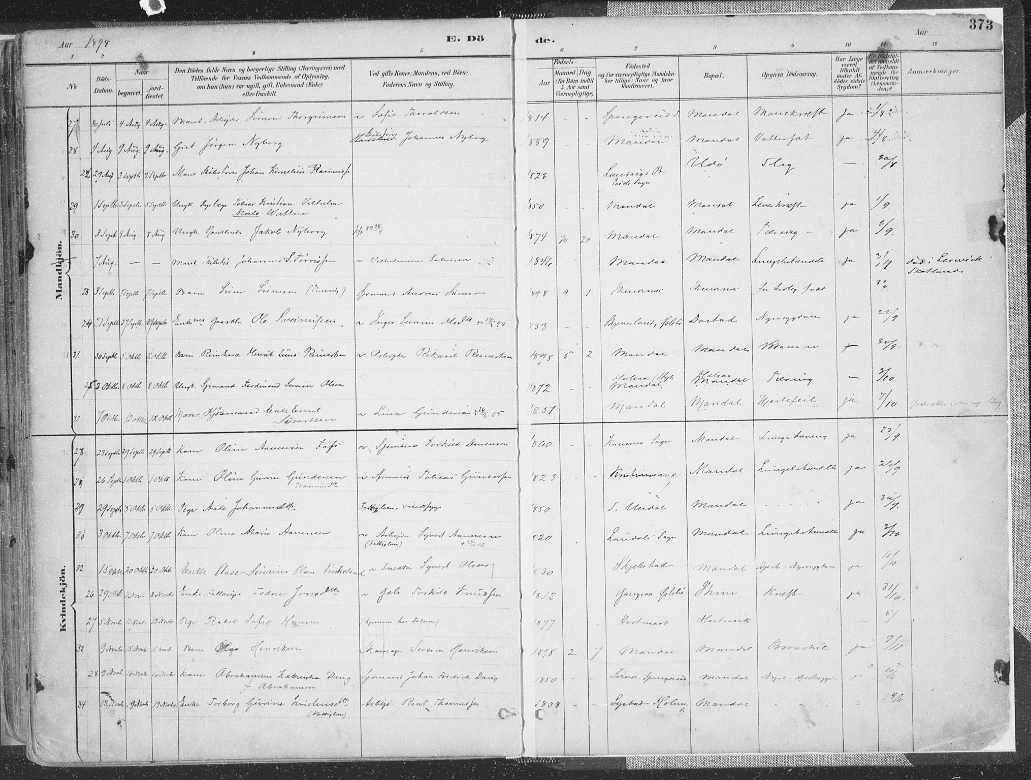 Mandal sokneprestkontor, AV/SAK-1111-0030/F/Fa/Faa/L0018: Parish register (official) no. A 18, 1890-1905, p. 373