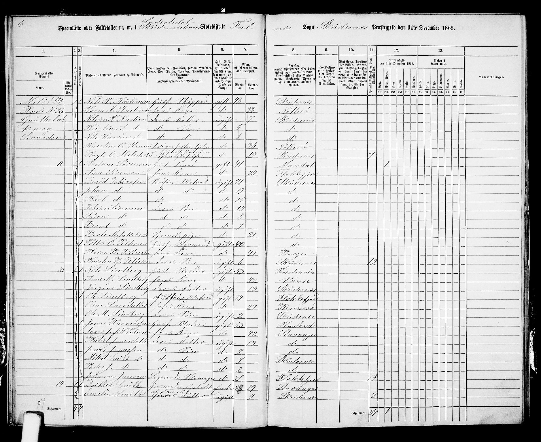 RA, 1865 census for Skudenes, 1865, p. 217