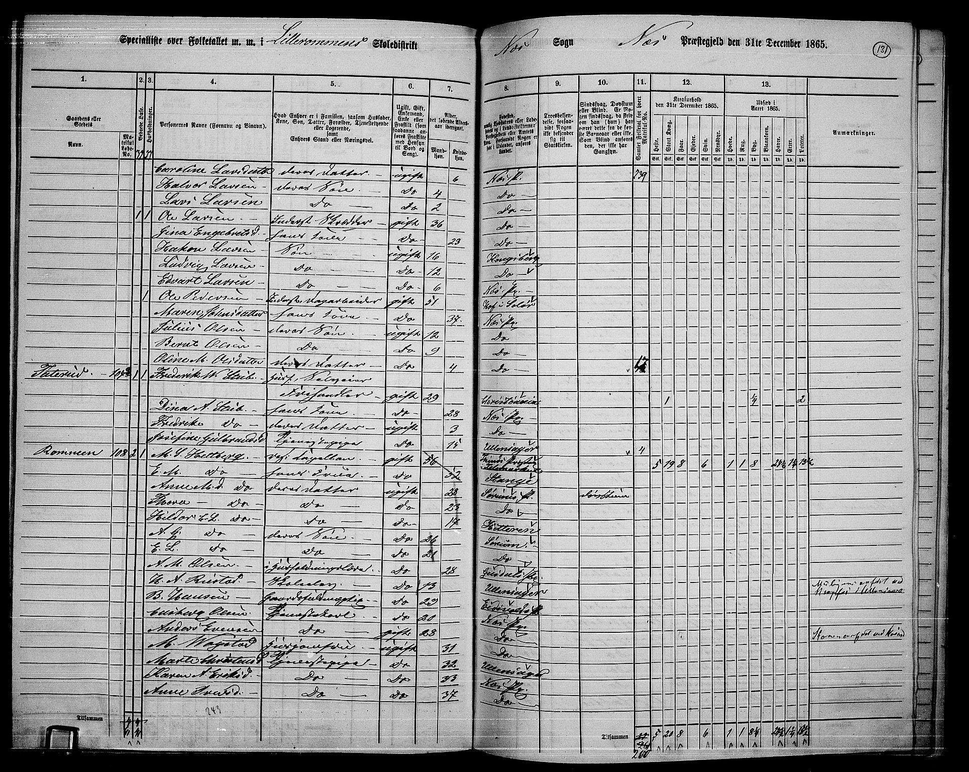 RA, 1865 census for Nes, 1865, p. 118