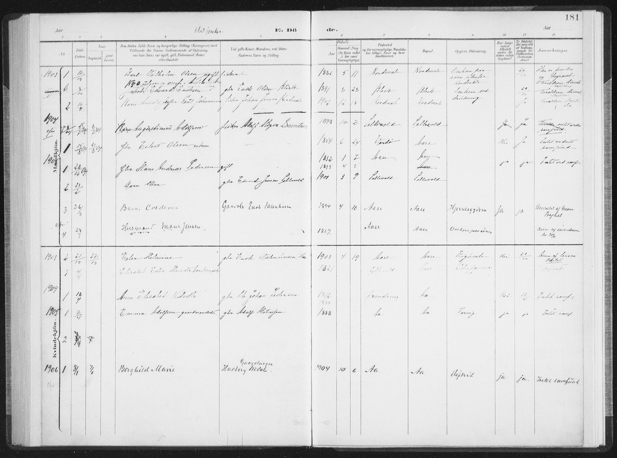 Ministerialprotokoller, klokkerbøker og fødselsregistre - Nordland, SAT/A-1459/897/L1400: Parish register (official) no. 897A07, 1897-1908, p. 181