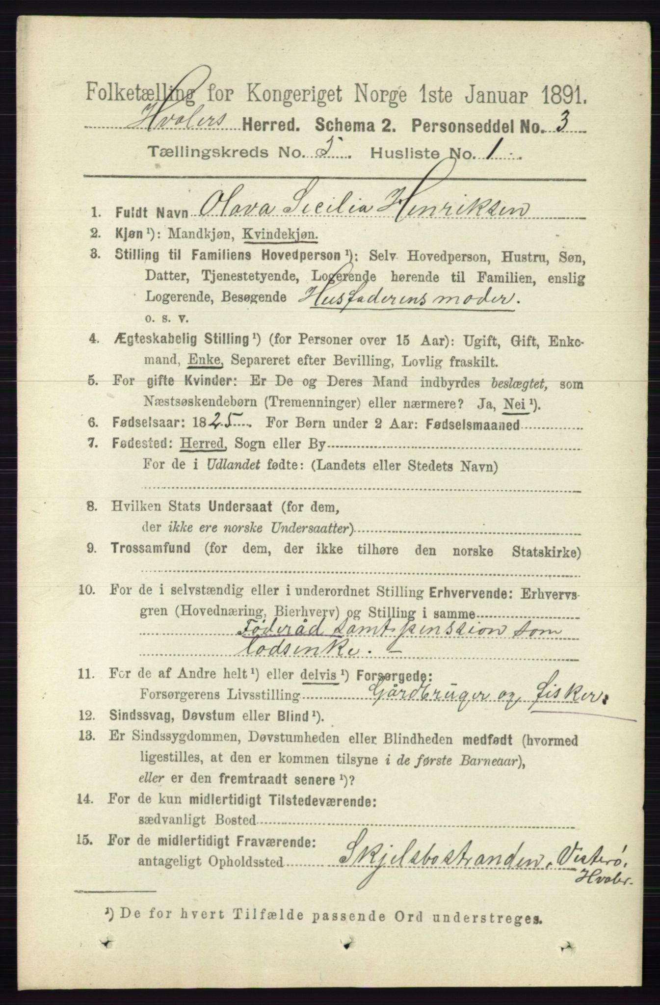 RA, 1891 census for 0111 Hvaler, 1891, p. 3187