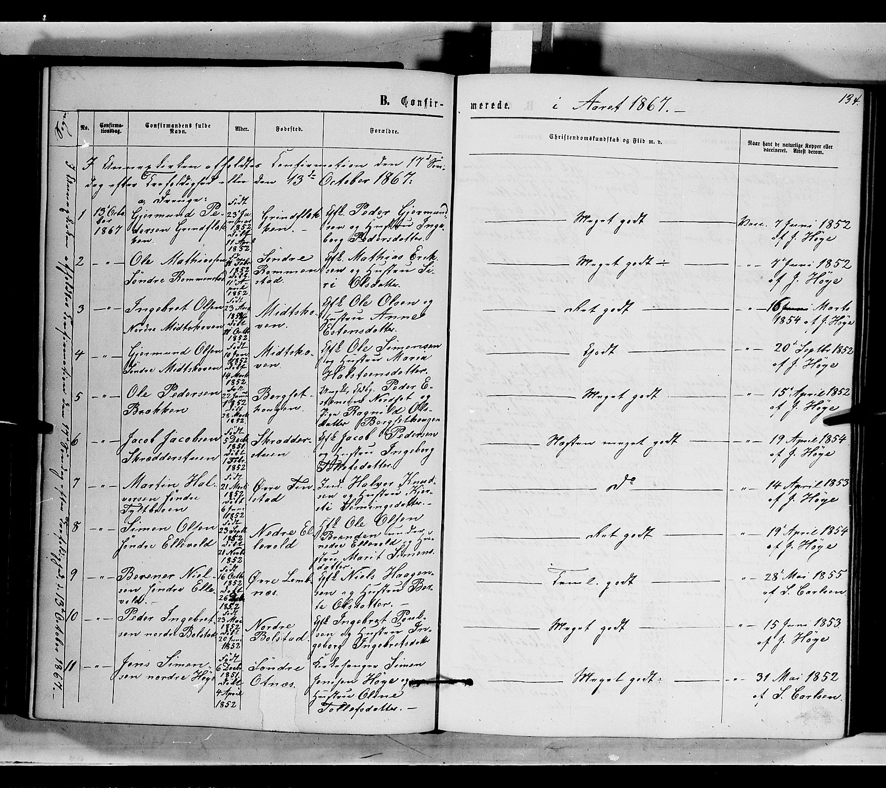 Rendalen prestekontor, SAH/PREST-054/H/Ha/Haa/L0006: Parish register (official) no. 6, 1867-1877, p. 134