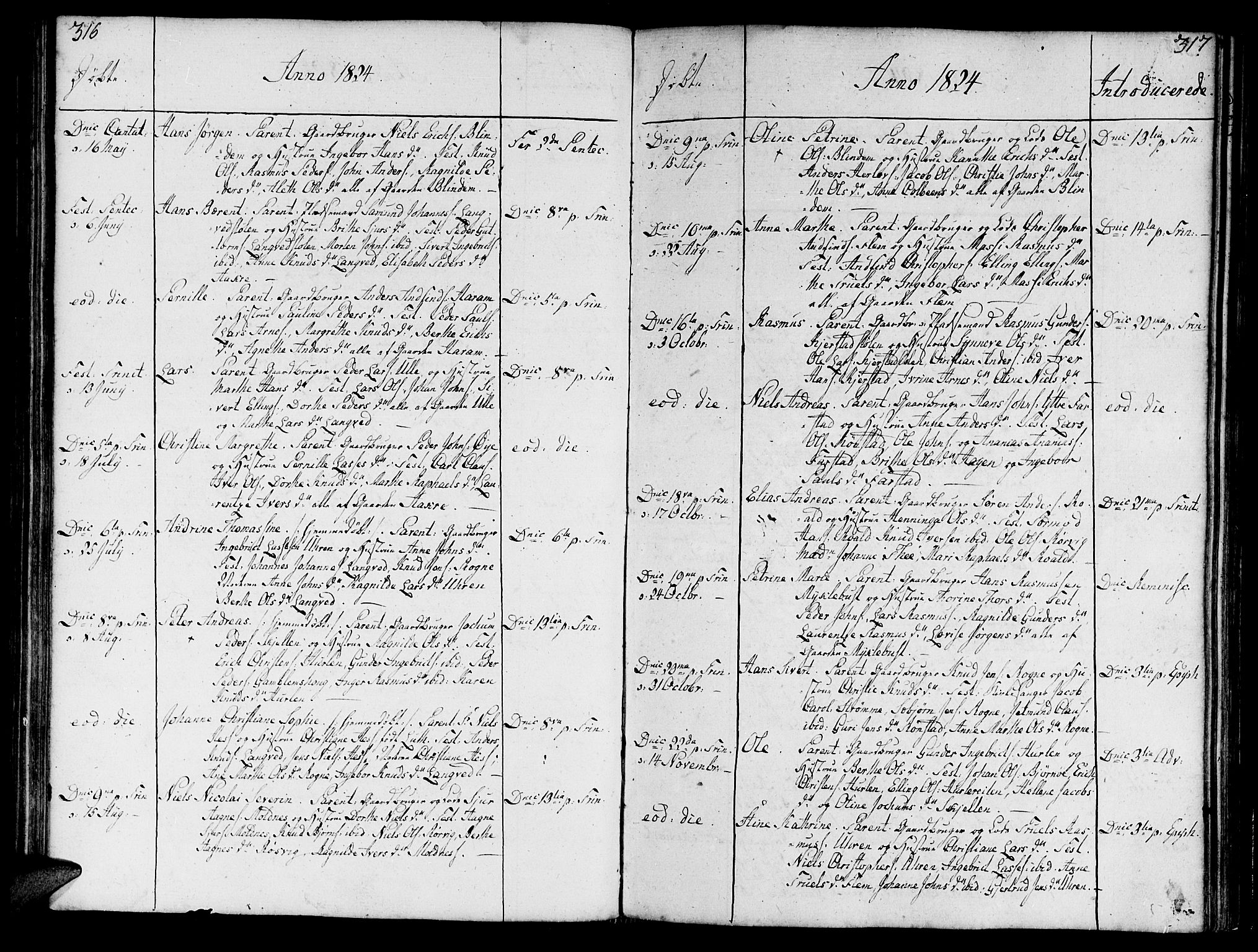 Ministerialprotokoller, klokkerbøker og fødselsregistre - Møre og Romsdal, AV/SAT-A-1454/536/L0494: Parish register (official) no. 536A03, 1803-1836, p. 316-317